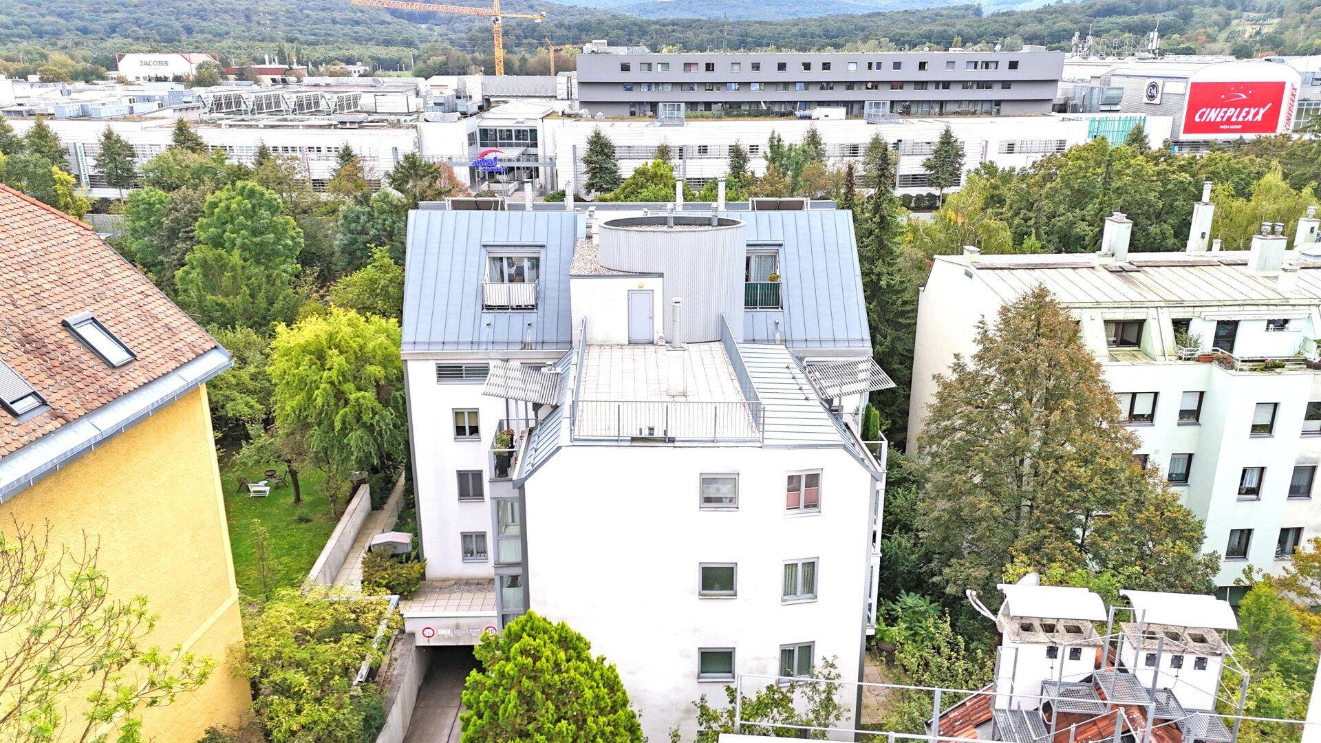 Gemeinschaftsdachterrasse 50 m²