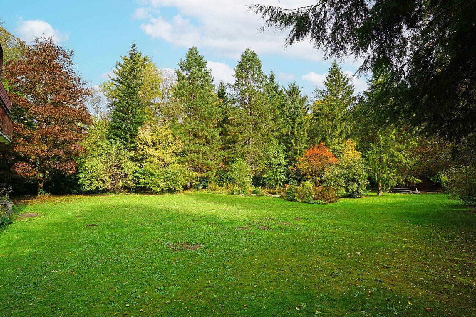 Weitläufiger grüner Gartenbereich mit altem Baumbestand und sonniger Rasenfläche.