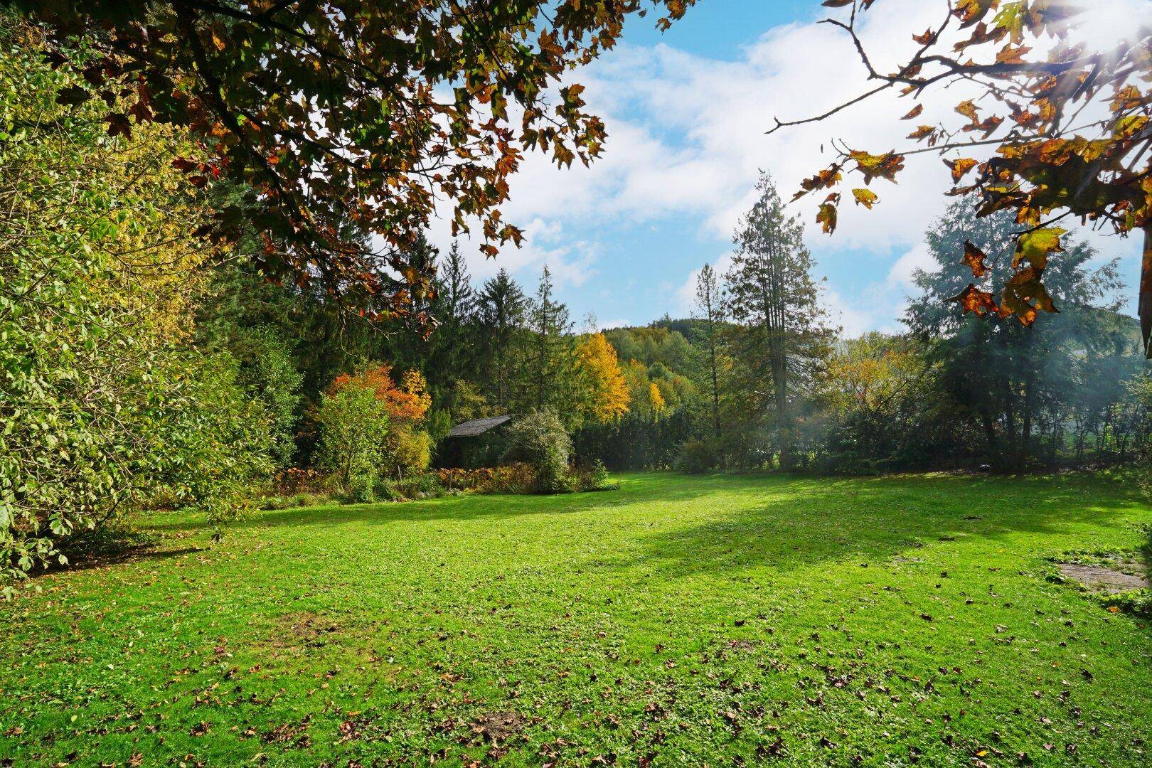 Sonniger Garten mit weitläufiger Rasenfläche und herbstlichem Baumbestand im Hintergrund.