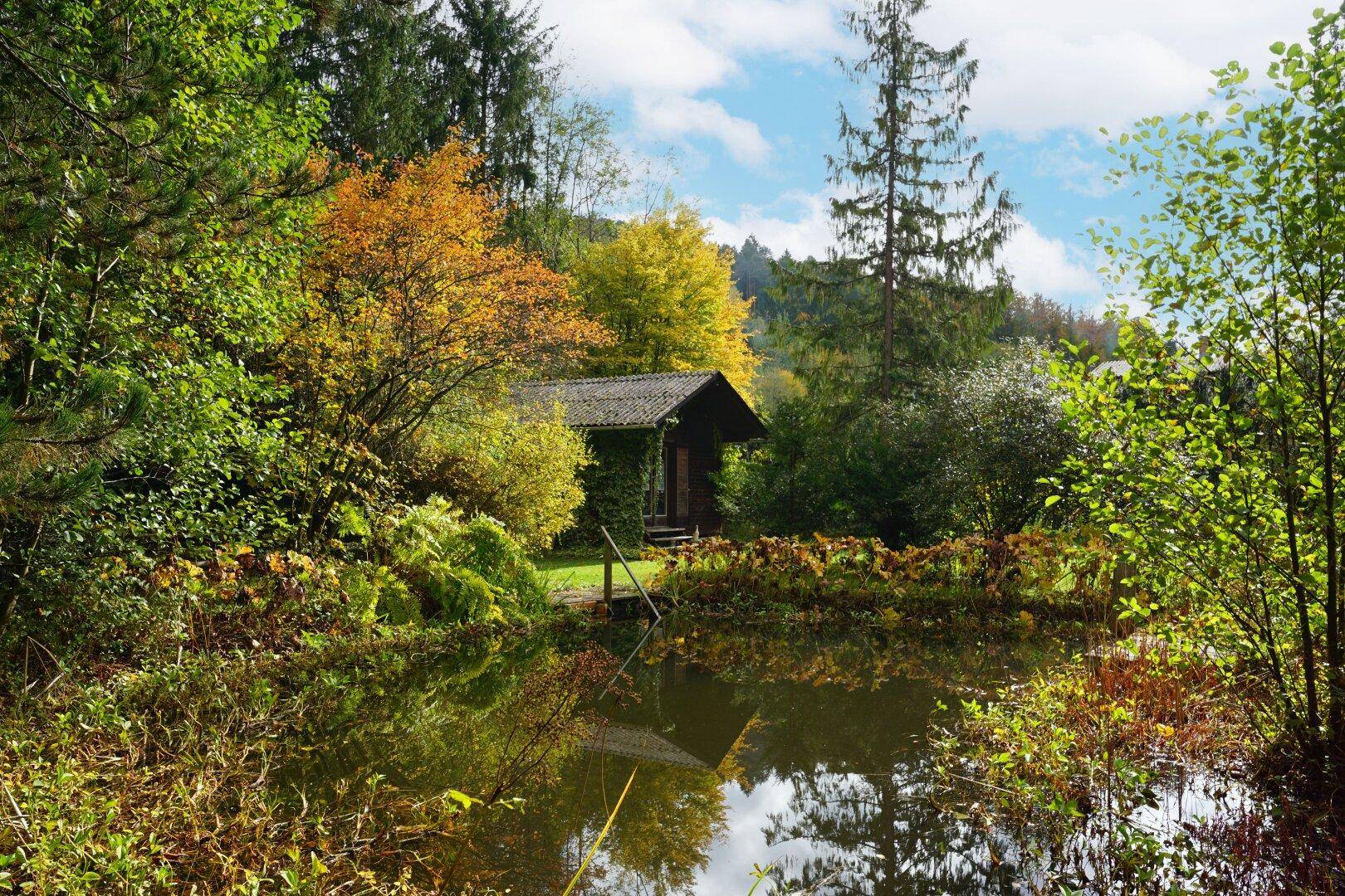 Schwimmteich mit Gartenhaus im Hintergrund