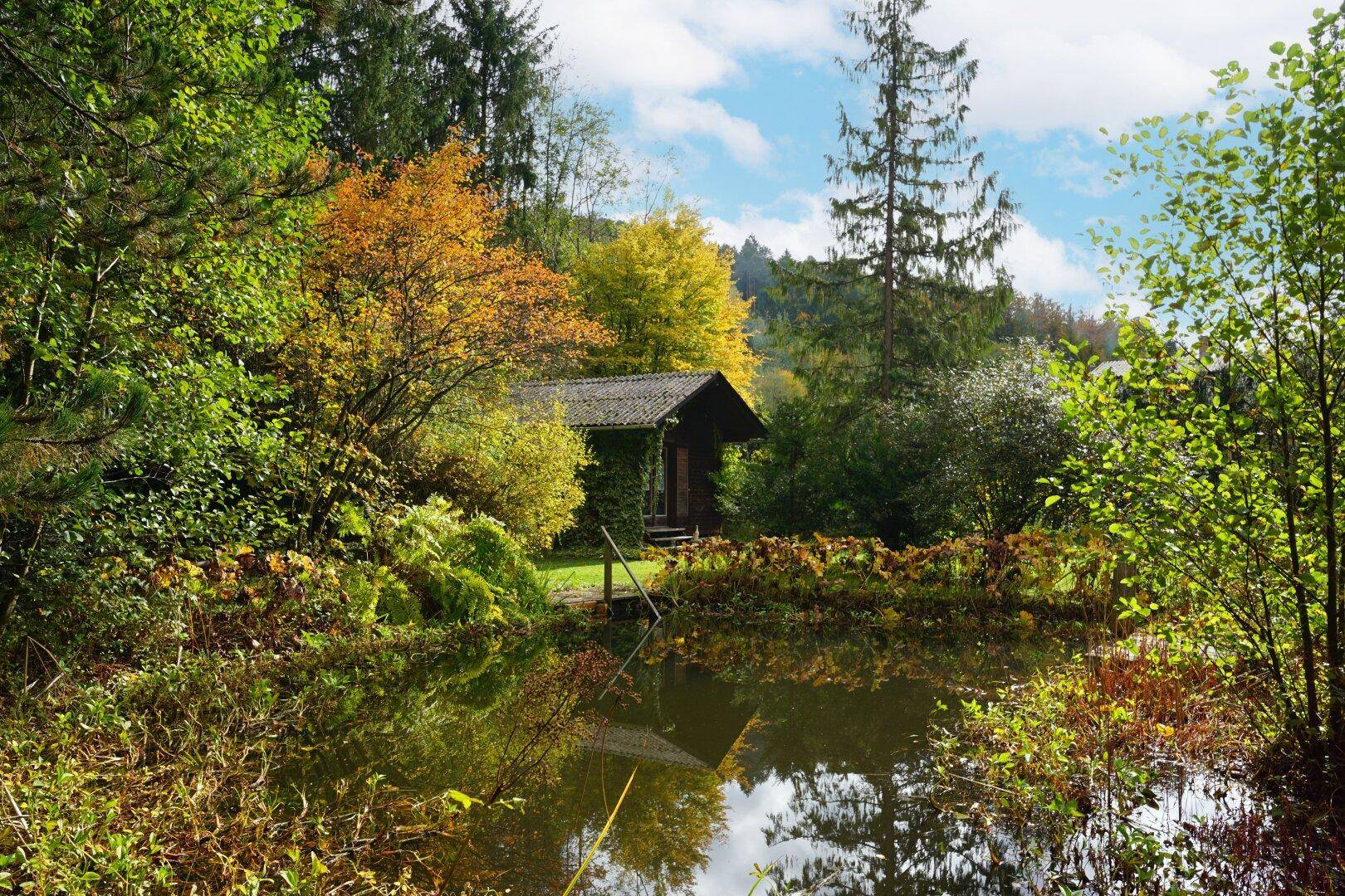Kleine Holzhütte am Teich, umgeben von üppiger Vegetation und herbstlichen Bäumen.