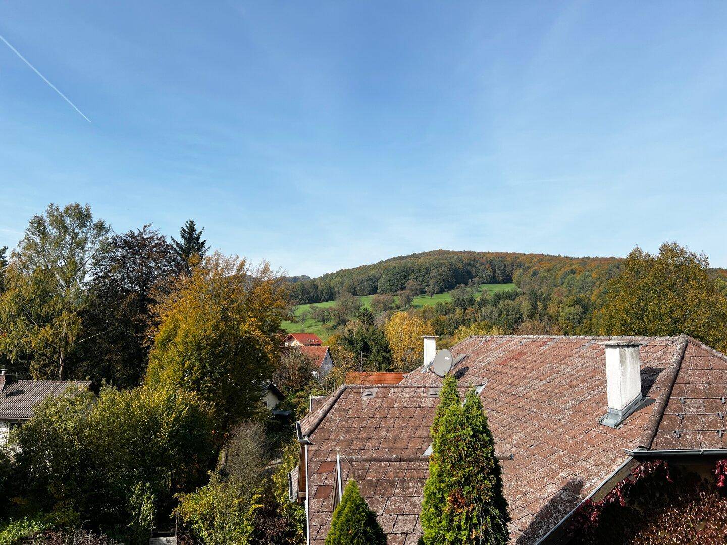 Weitläufige Aussicht über Dächer und eine grüne, hügelige Landschaft unter blauem Himmel.