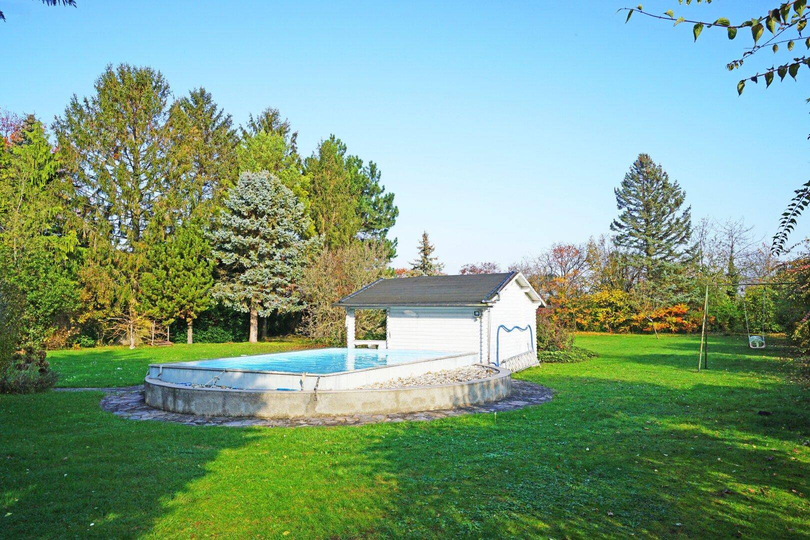 Garten mit Pool und Gartenhaus