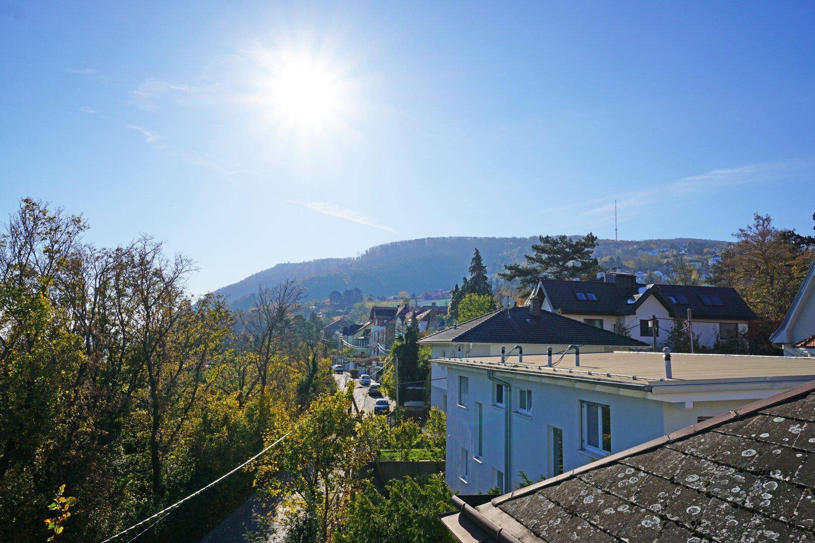 Blick von der Terrasse Richtung Leopoldsberg