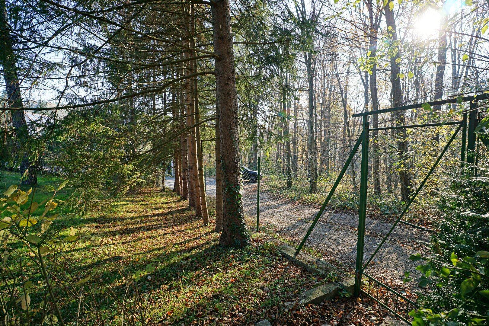 weiterer Zugang zum Grundstück direkt vom Wald