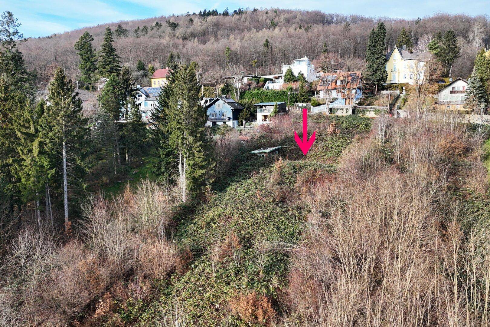 Blick auf das Hanggrundstück von Südost