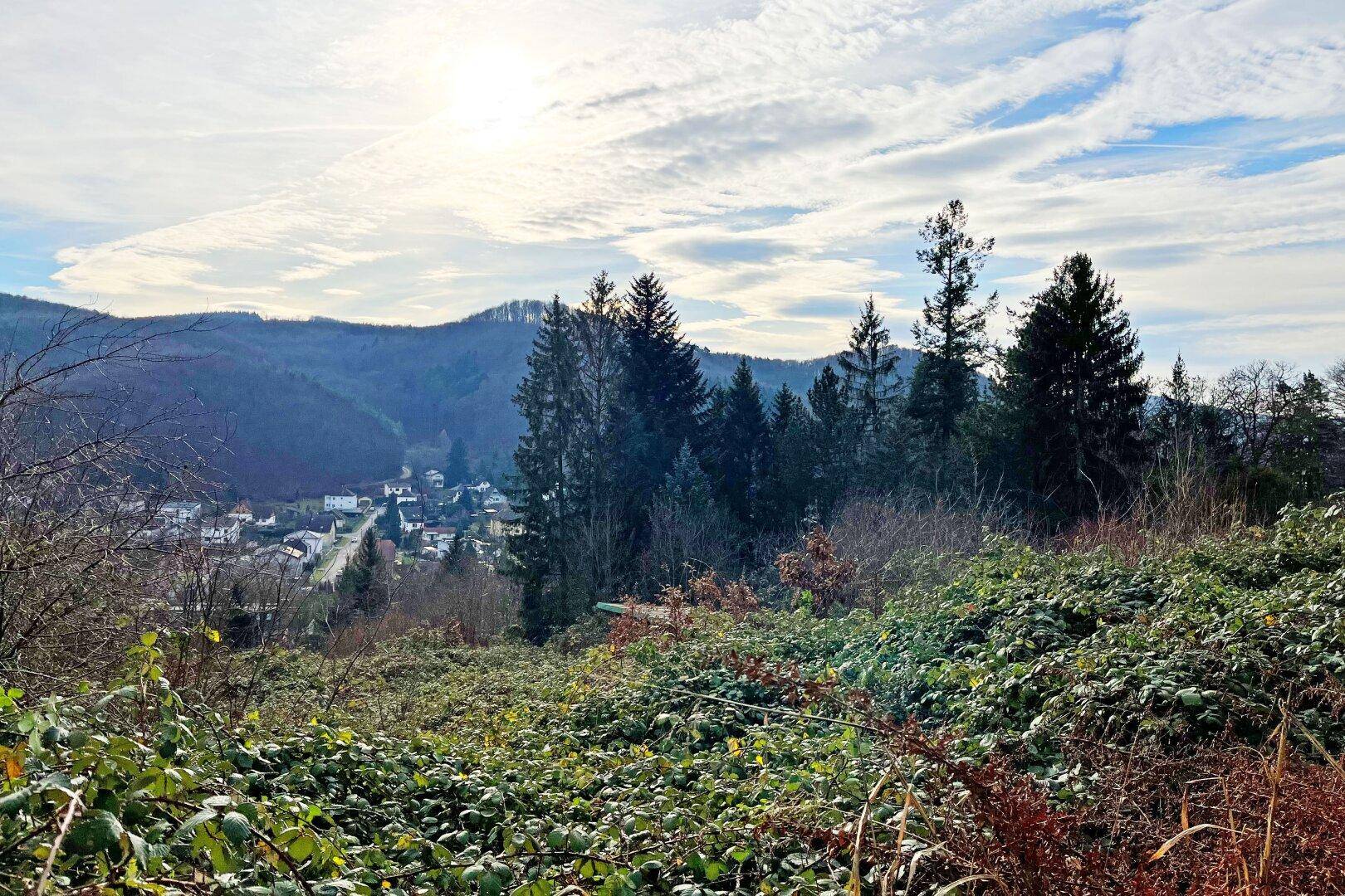 oberes Grundstück und Ausblick