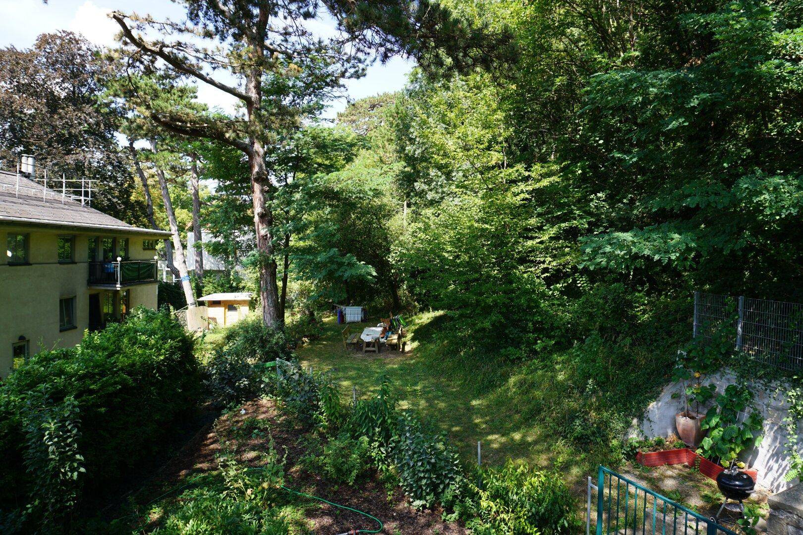 Ausblick Terrasse in Gemeinschaftsgarten