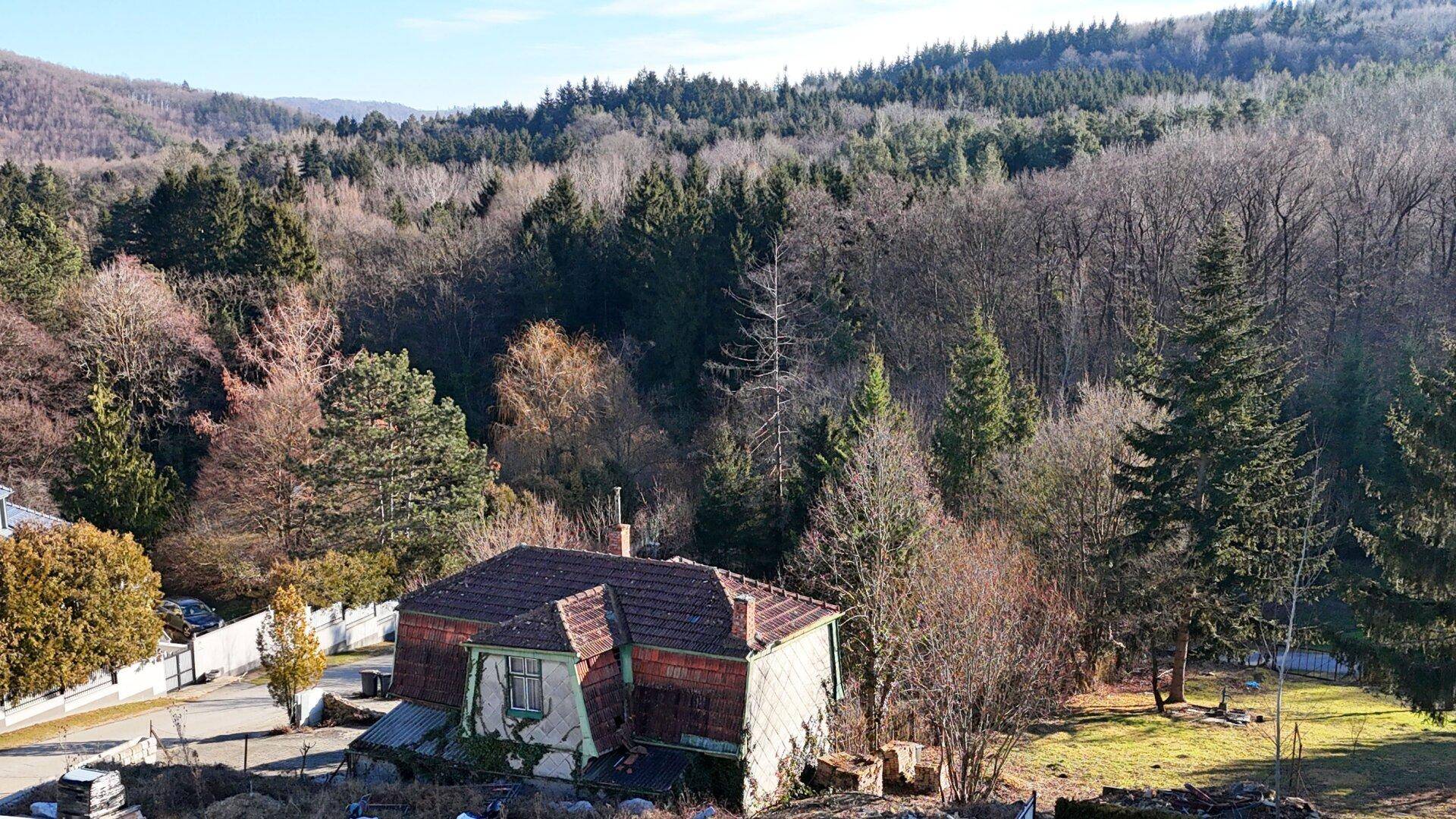 Wienerwald / nach Südosten