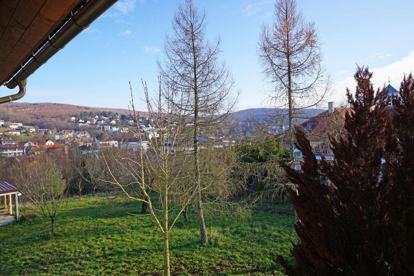 Ausblick nach Nordosten in den Garten