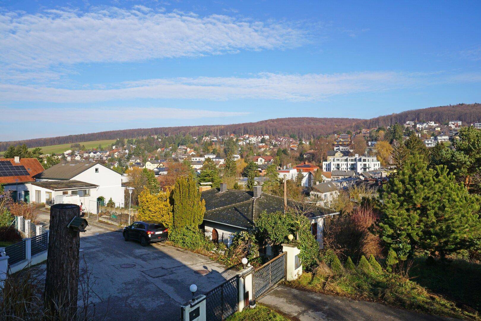 Ausblick nach Norden zum Purkersdorfer Forst