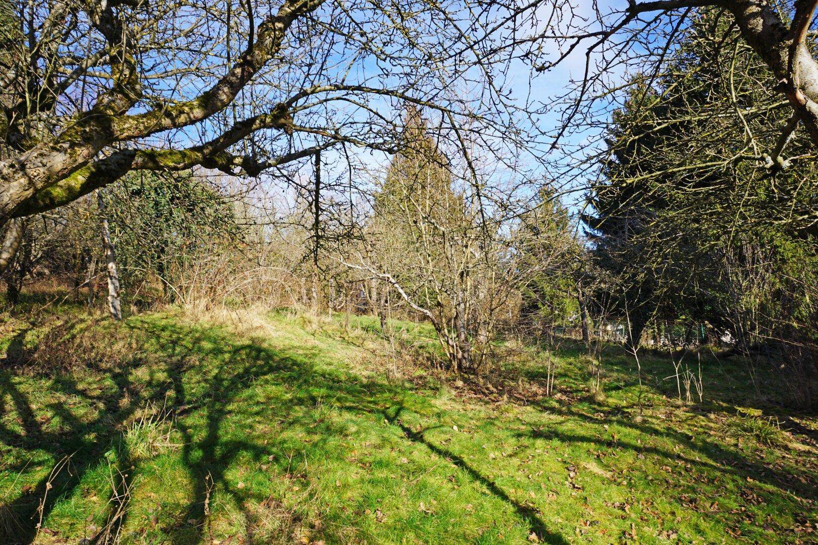 Grundstück mit Panoramablick an der Wiener Stadtgrenze - teilbar mit Bauträger-Eignung! - Ansicht 4