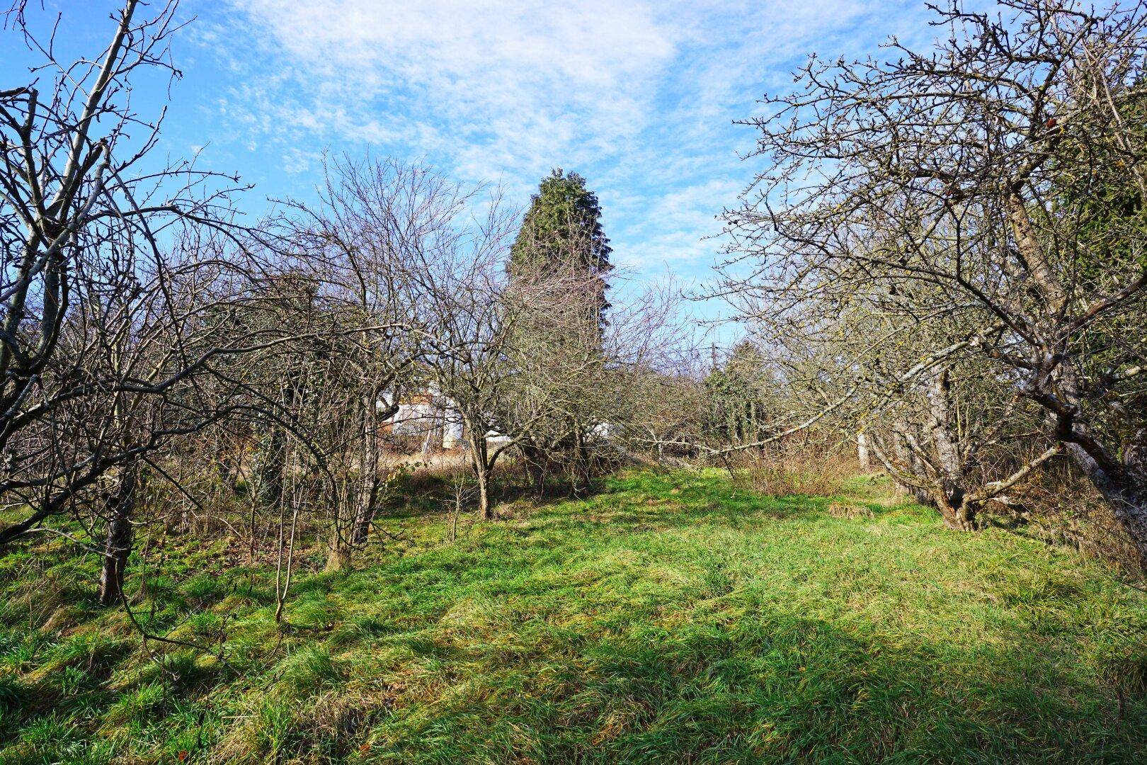 Grundstück mit Panoramablick an der Wiener Stadtgrenze - teilbar mit Bauträger-Eignung! - Ansicht 5