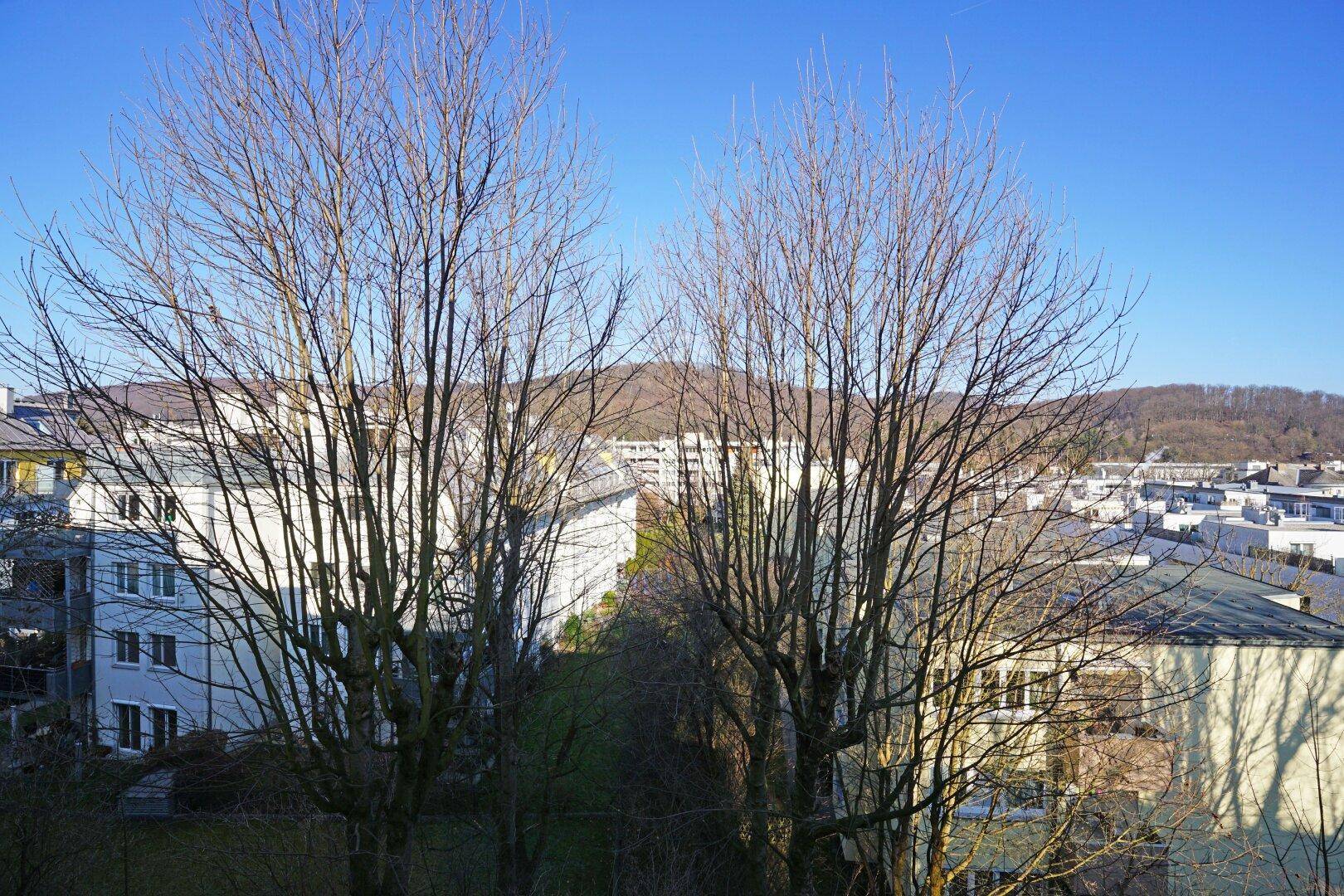 Zimmer 1 Ausblick nach Norden