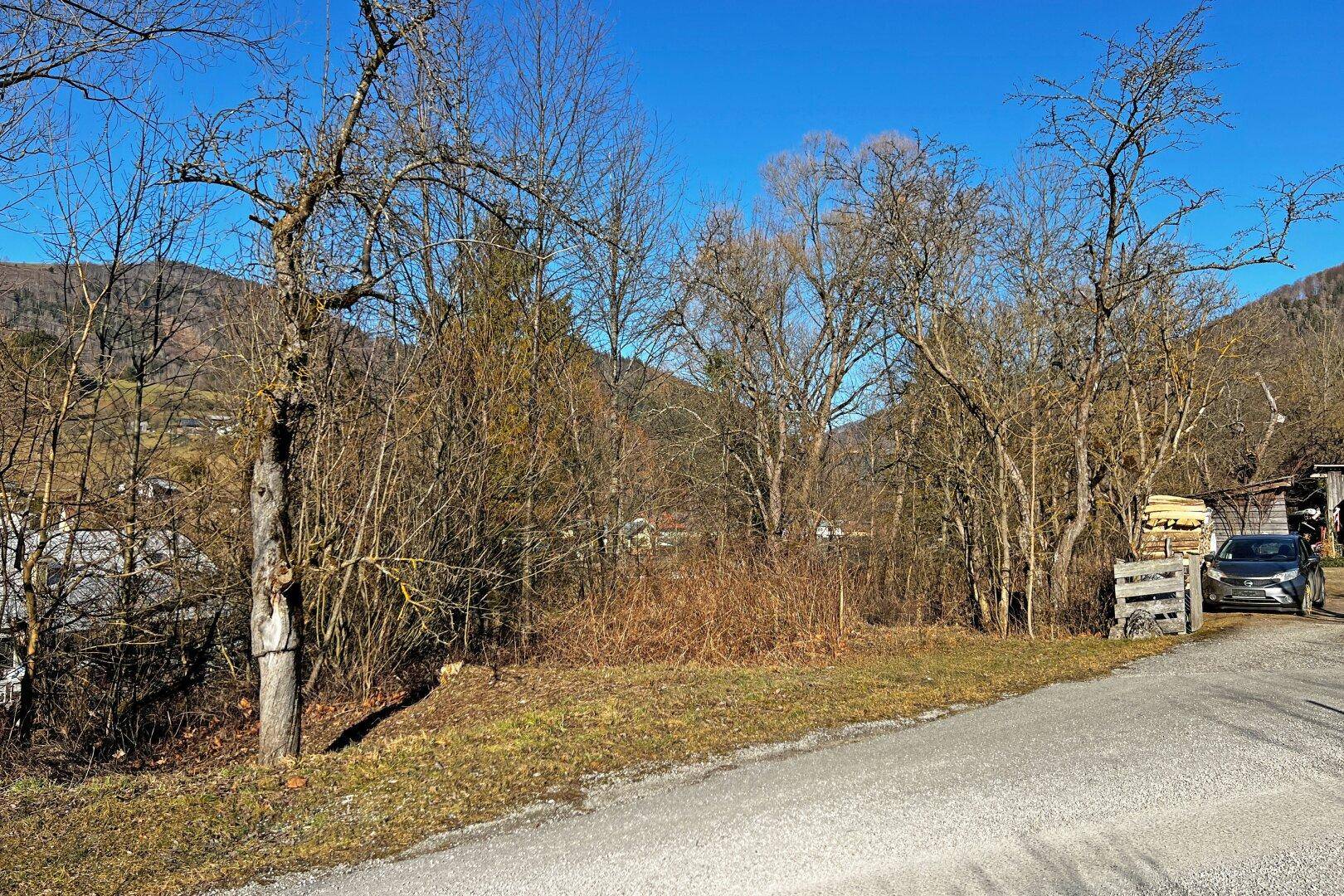 Straßenseitige Grundgrenze