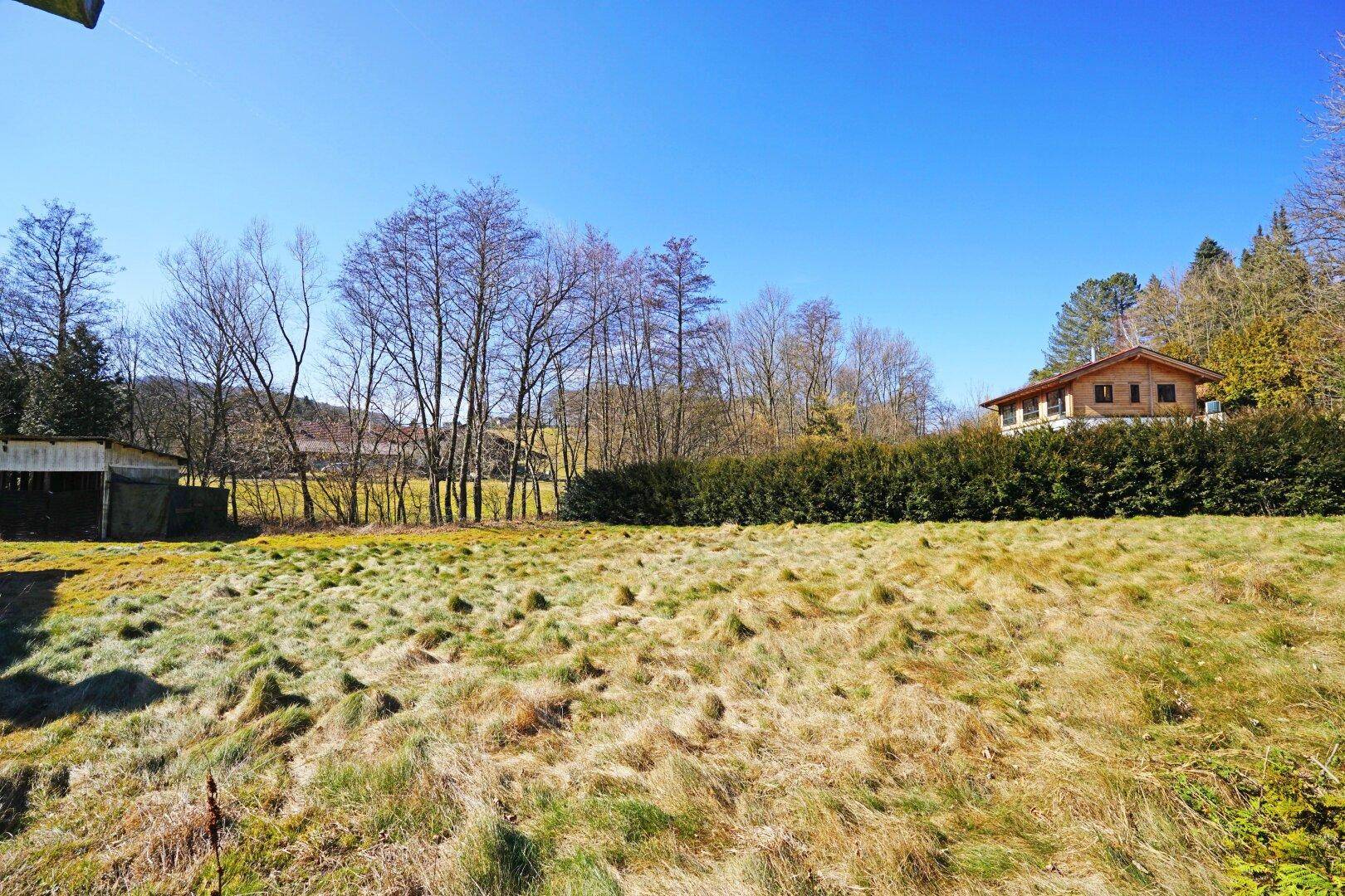 Großzügige Rasenfläche mit Blick auf die bewaldete Umgebung und ein weiteres Haus am Hang.