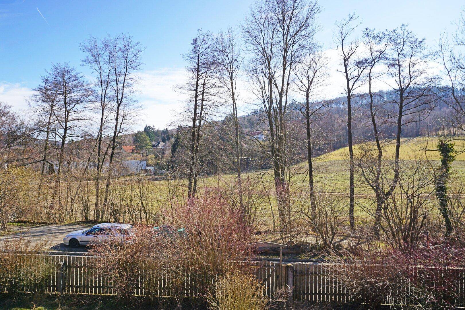 Weitläufiger Blick auf die ländliche Umgebung mit Bäumen und einem Feldweg von der Immobilie aus.