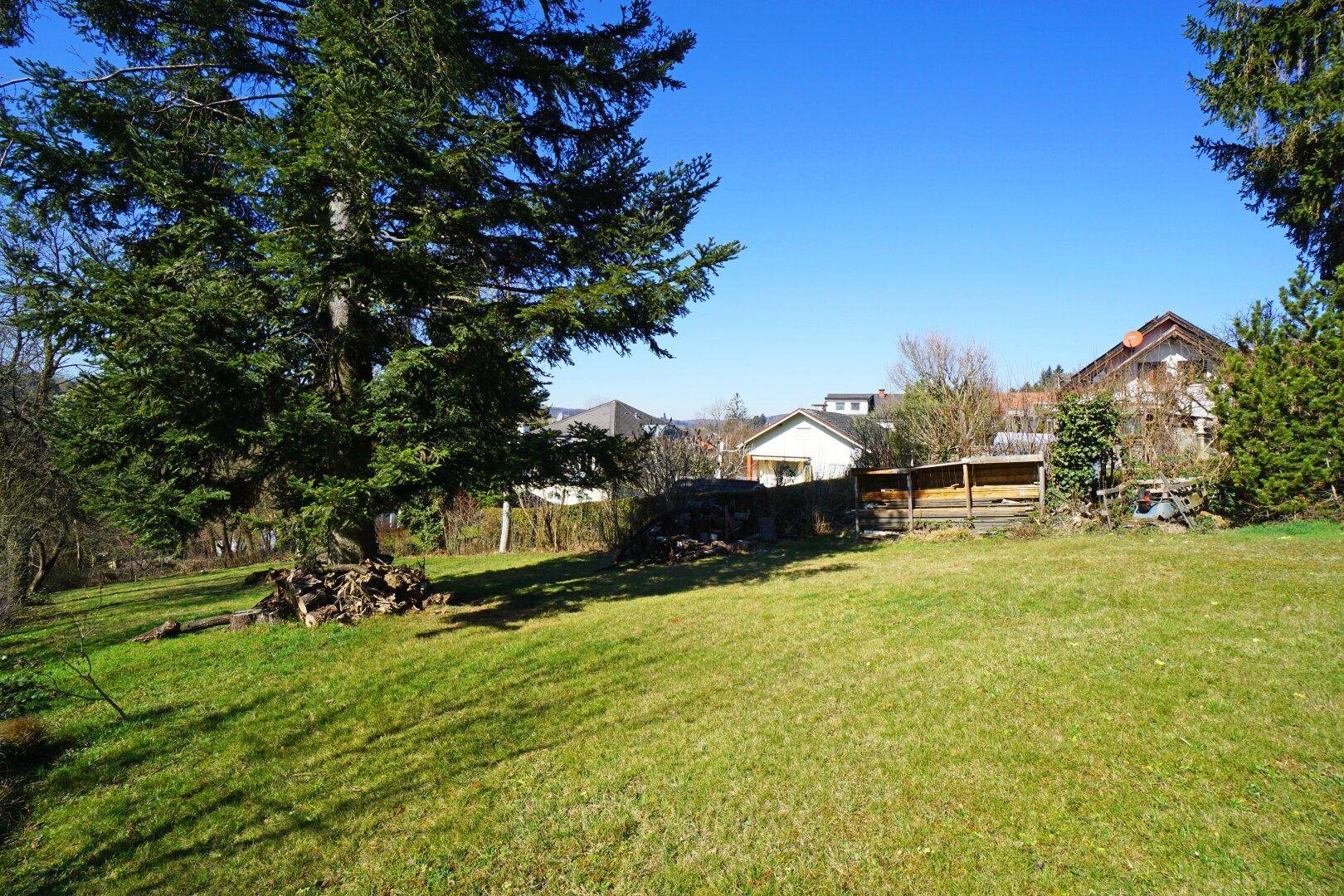 Sonnige Rasenfläche im Garten mit Holzstapel und Blick auf benachbarte Gebäude.