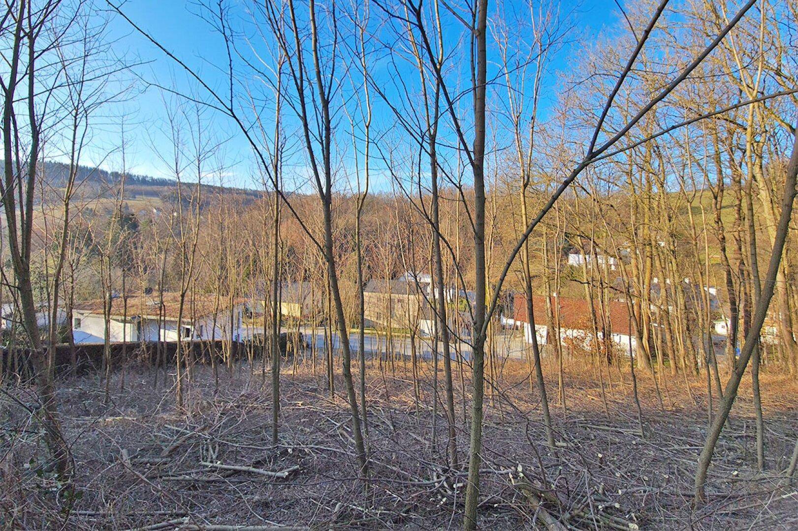 Blick durch kahle Bäume auf eine ländliche Umgebung mit Häusern und bewaldeten Hügeln unter blauem Himmel.