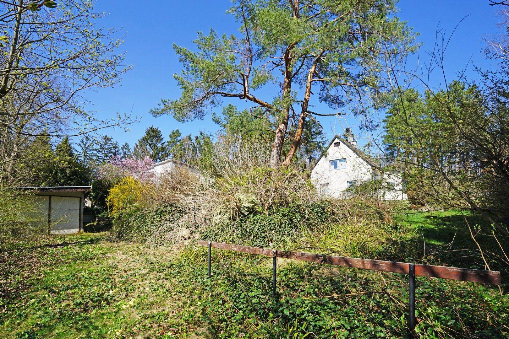 Naturbelassener Gartenbereich mit Bäumen, Sträuchern und einem kleinen Geräteschuppen im Hintergrund.