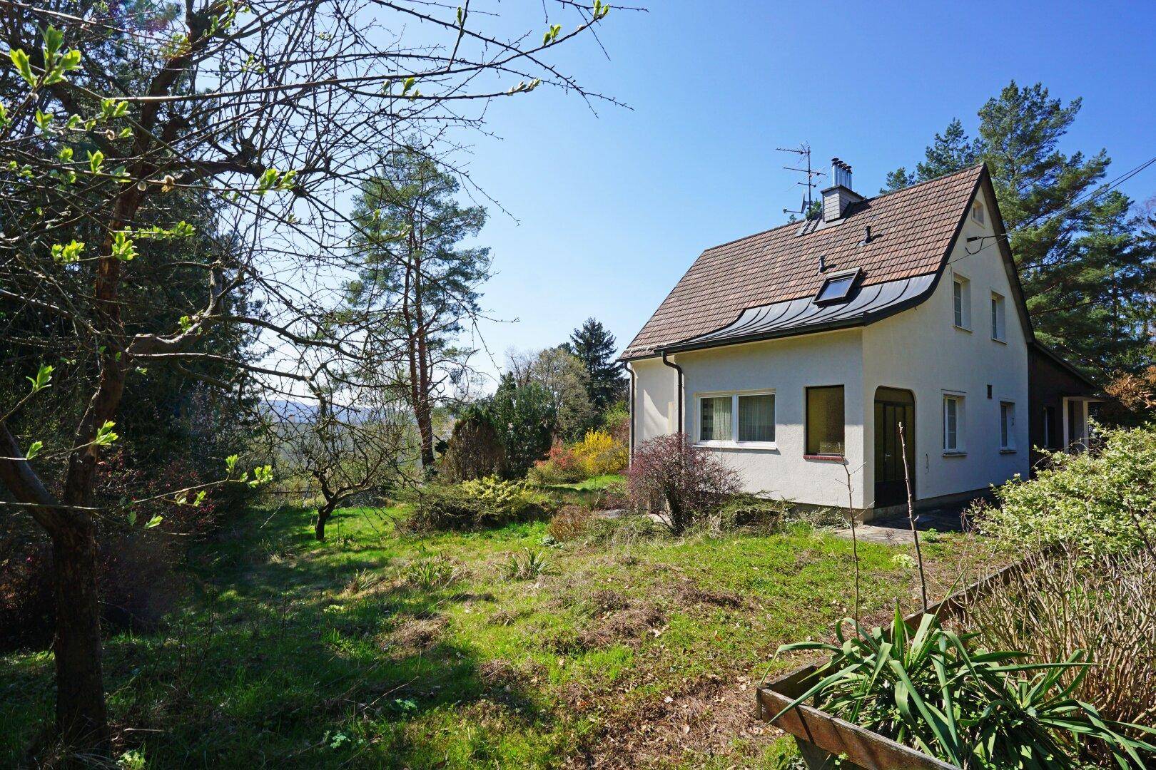 Gartenbereich mit Rasenfläche und dem Haus im Hintergrund unter blauem Himmel.