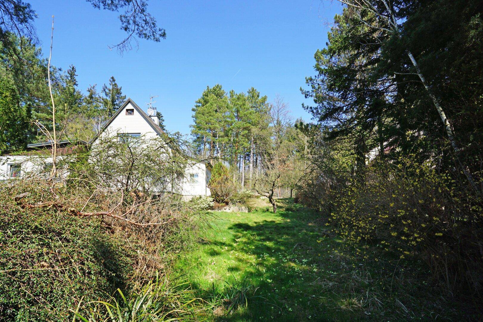 Naturbelassener Gartenweg umgeben von Sträuchern und Bäumen, mit dem Haus in der Ferne.