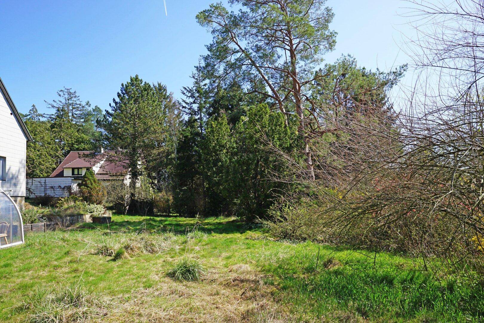 Weitläufige Rasenfläche im Garten mit Bäumen und dem Haus im Hintergrund.
