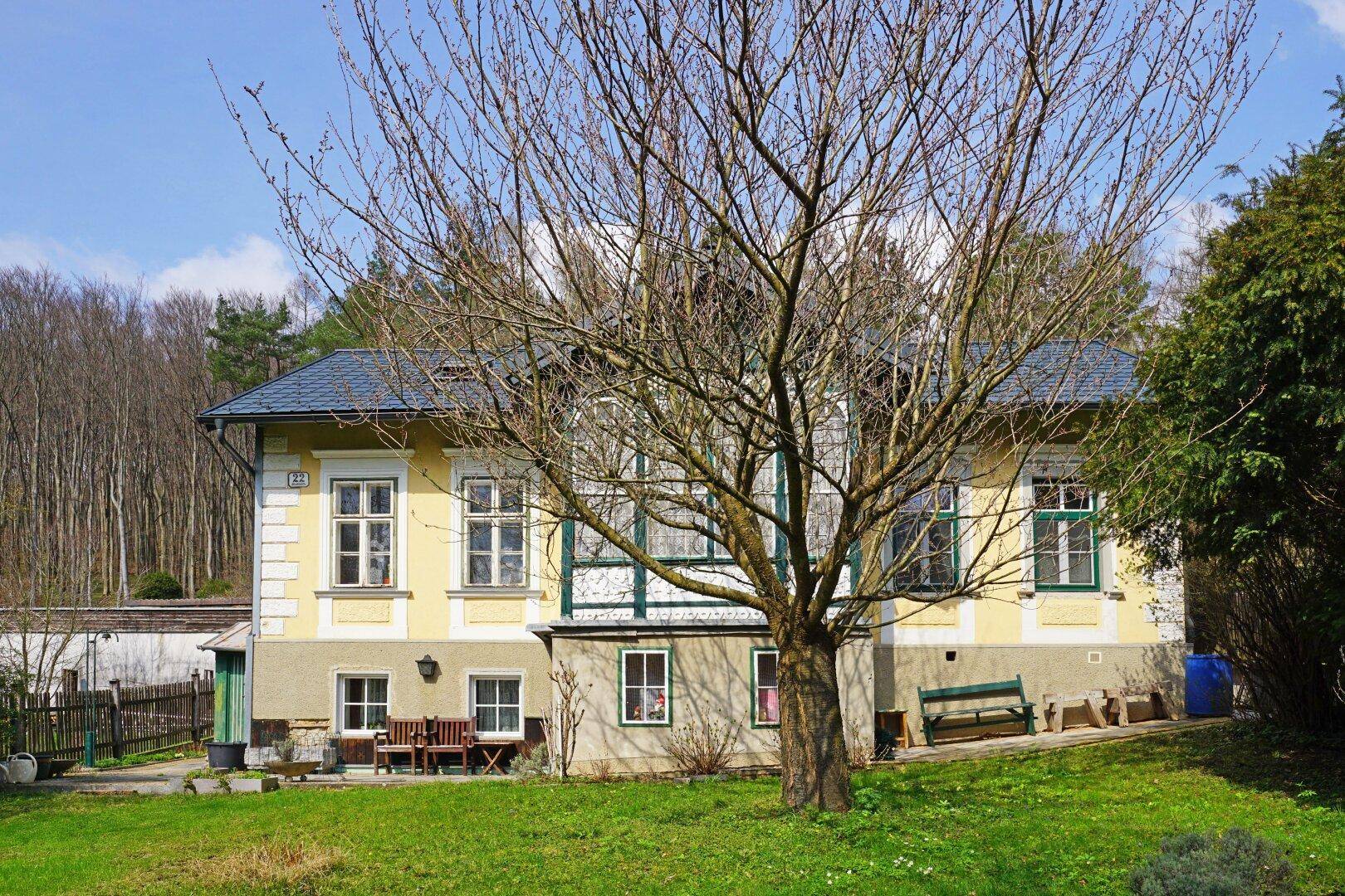 Seitenansicht des gelben Hauses mit vielen Fenstern und einem großen Baum im Vordergrund.