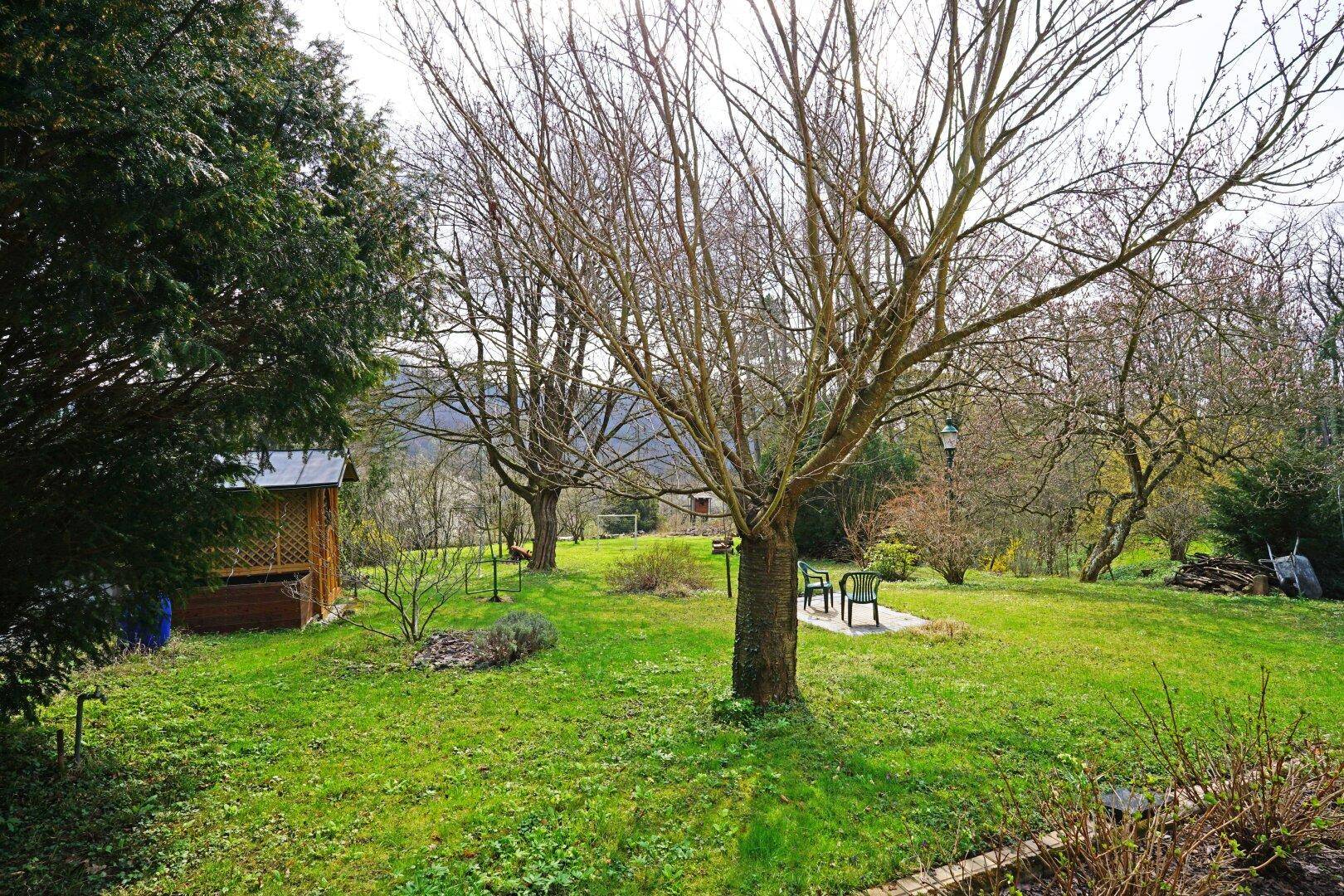 Ruhiger Gartenbereich mit Rasenfläche, Bäumen und einer kleinen Sitzgruppe im Grünen.
