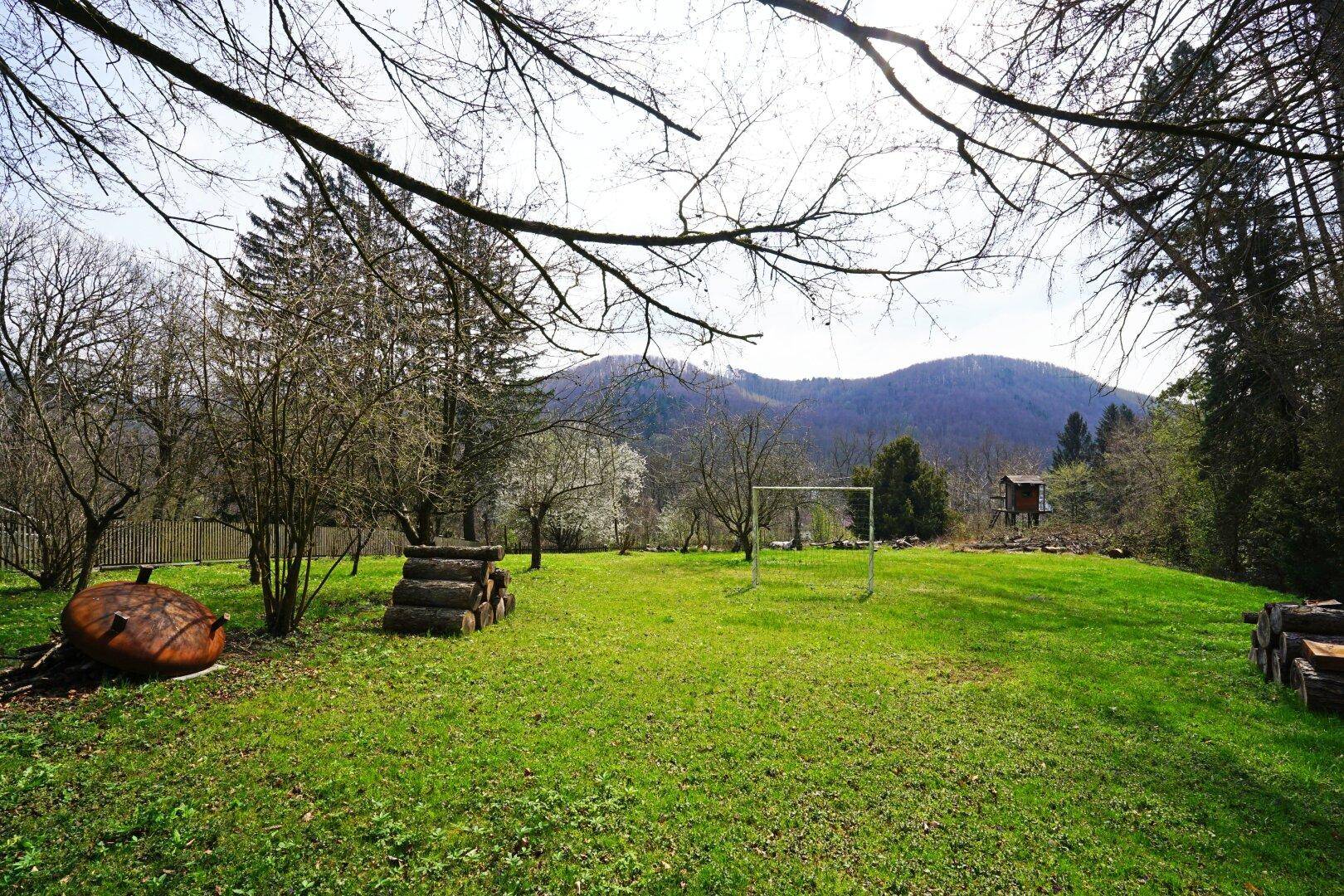 Große Rasenfläche mit Fußballtor und Holzstapeln, umgeben von Bäumen und Bergen im Hintergrund.