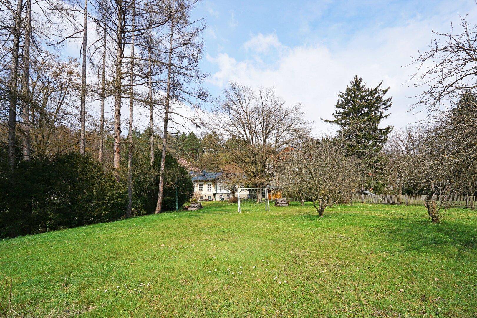 Grüne Rasenfläche mit Fußballtor und Blick auf ein Gebäude im Hintergrund, umgeben von Wald.