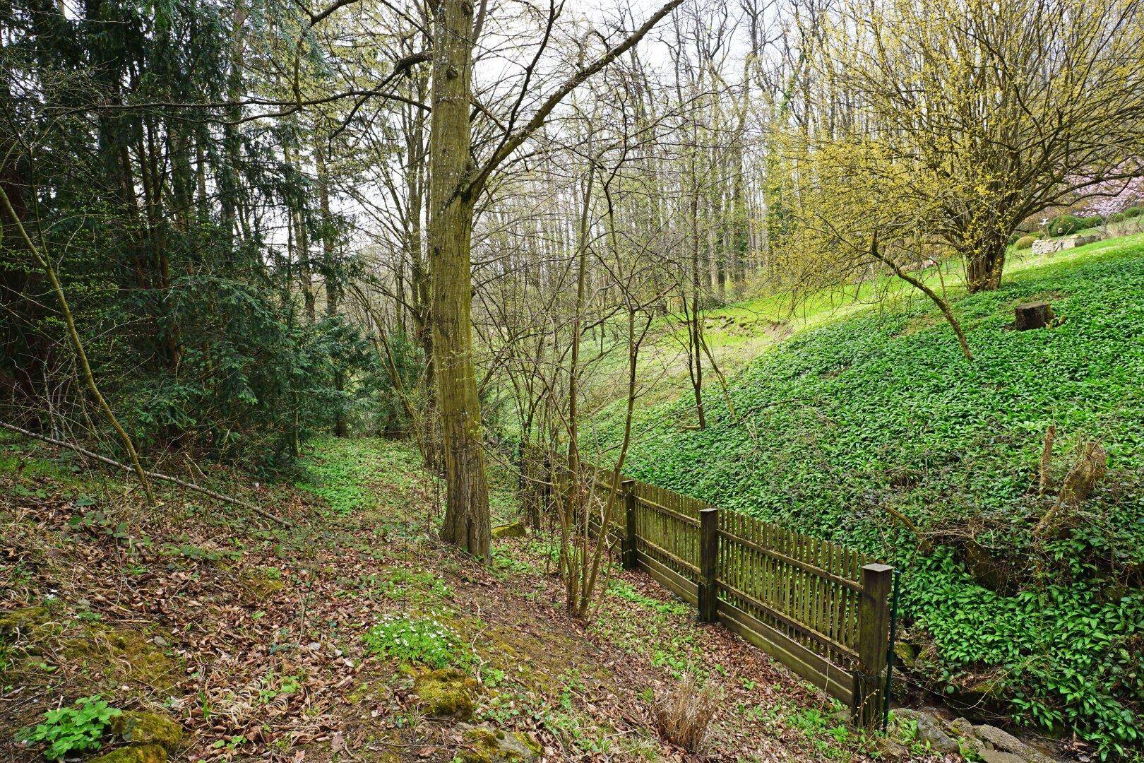Hanglage mit dichtem Bewuchs und einem kleinen Holzzaun, umgeben von Wald und Natur.
