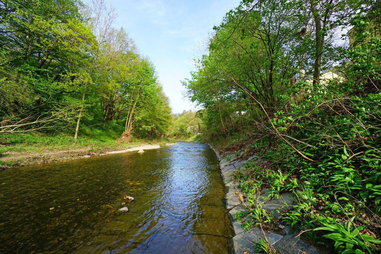 Wienfluss