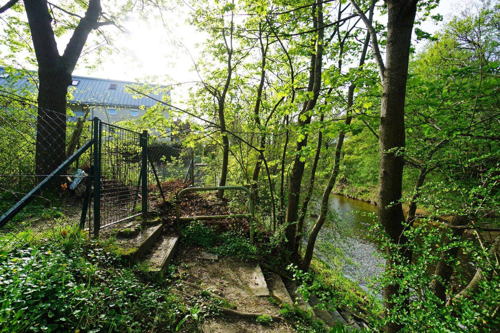 direkter Zugang zum Wienfluss