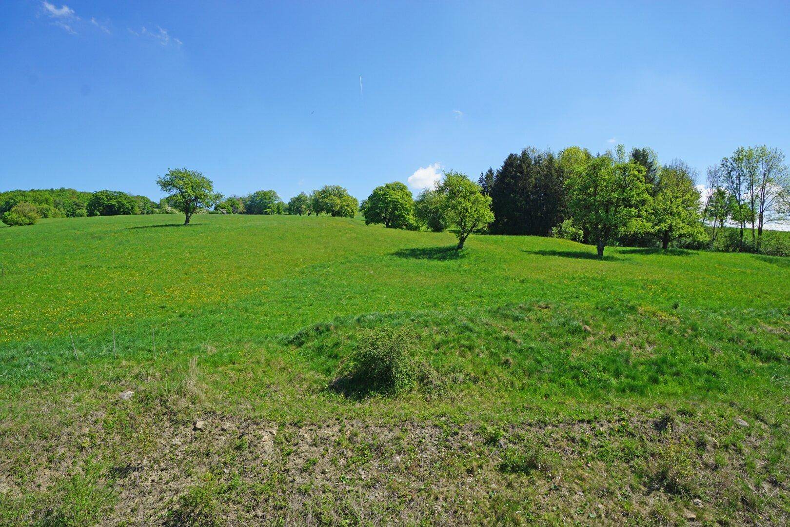 DG_Zimmer 1_Ausblick Wiese