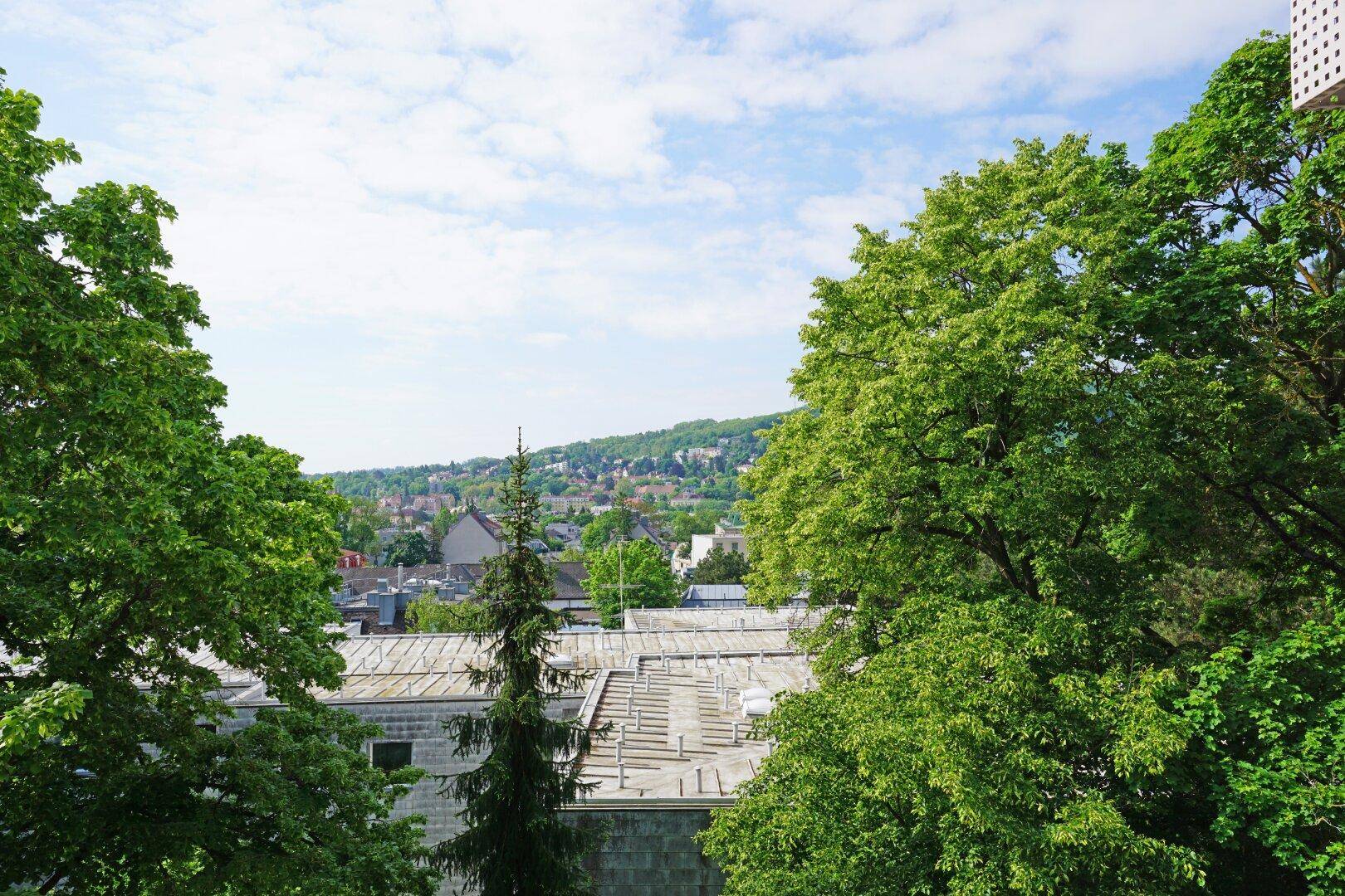 Ausblick nach Westen Richtung Wolfersberg
