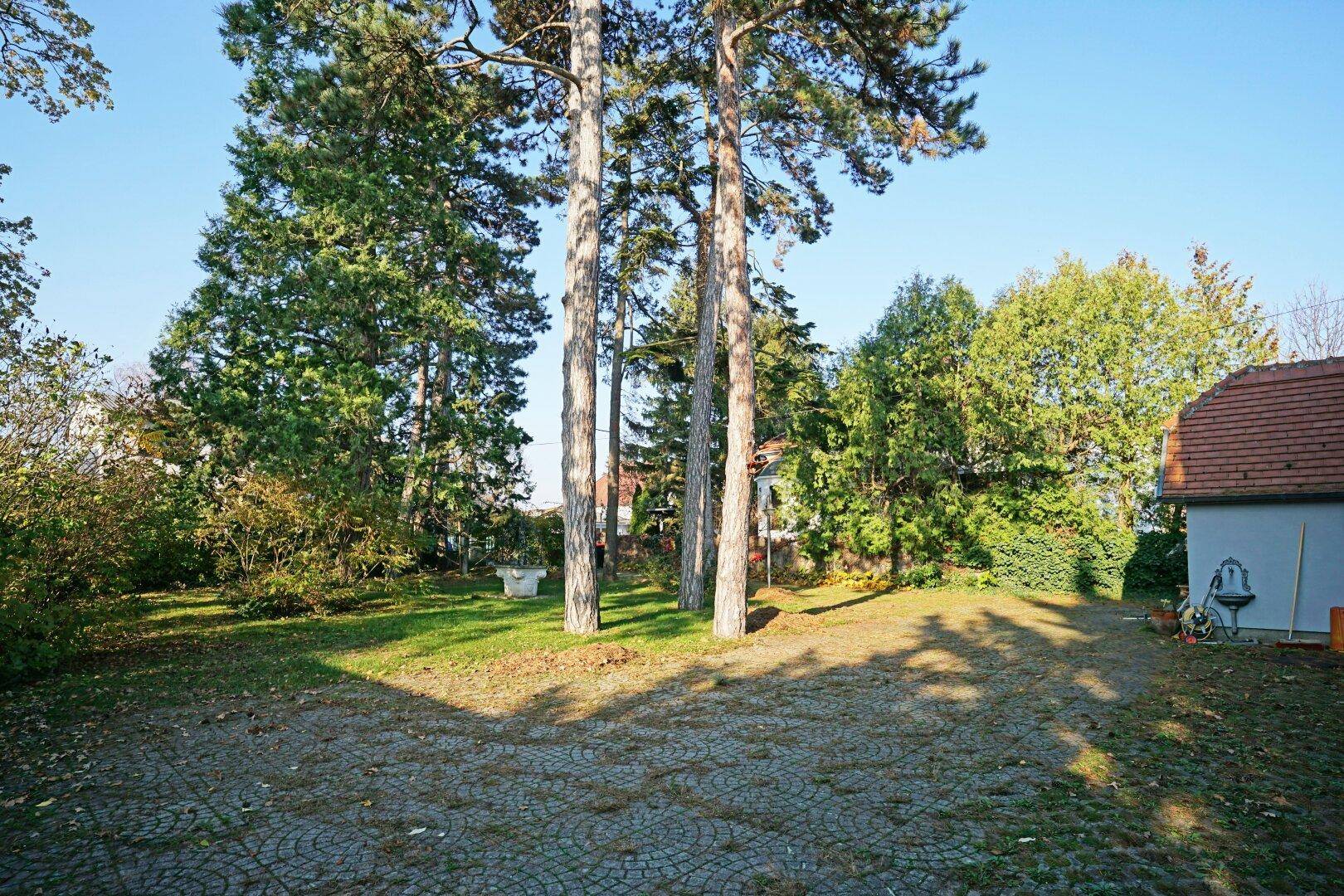 Vorgarten und Zufahrt