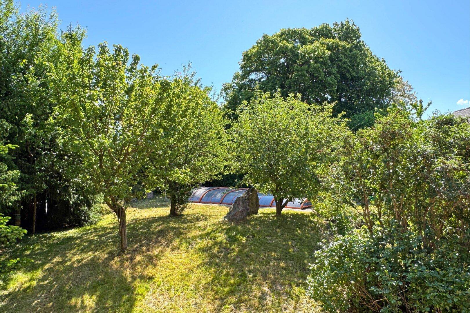 weitläufiger Garten