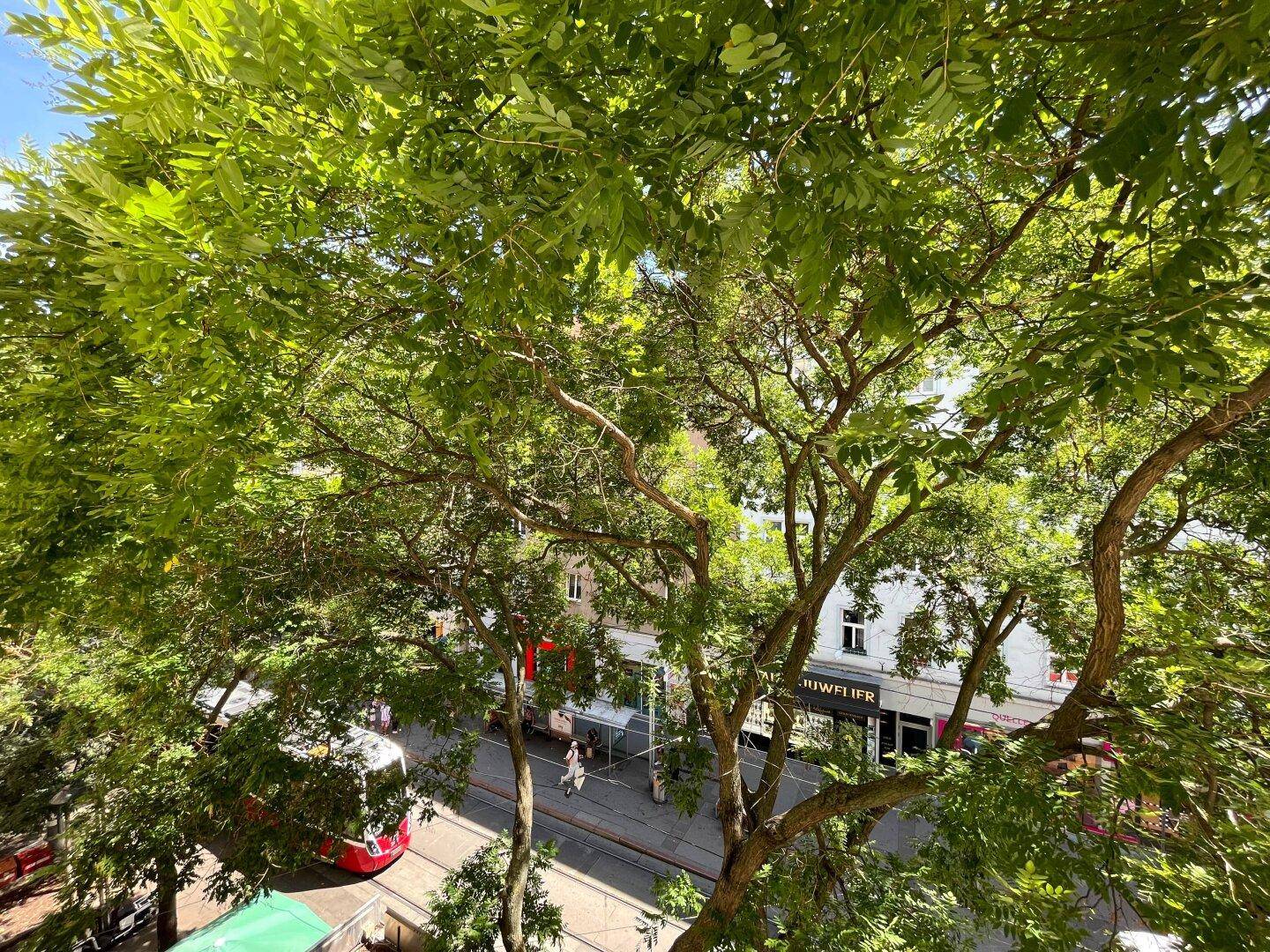 Grüner Ausblick auf eine belebte Straße mit Bäumen und Straßenbahn.