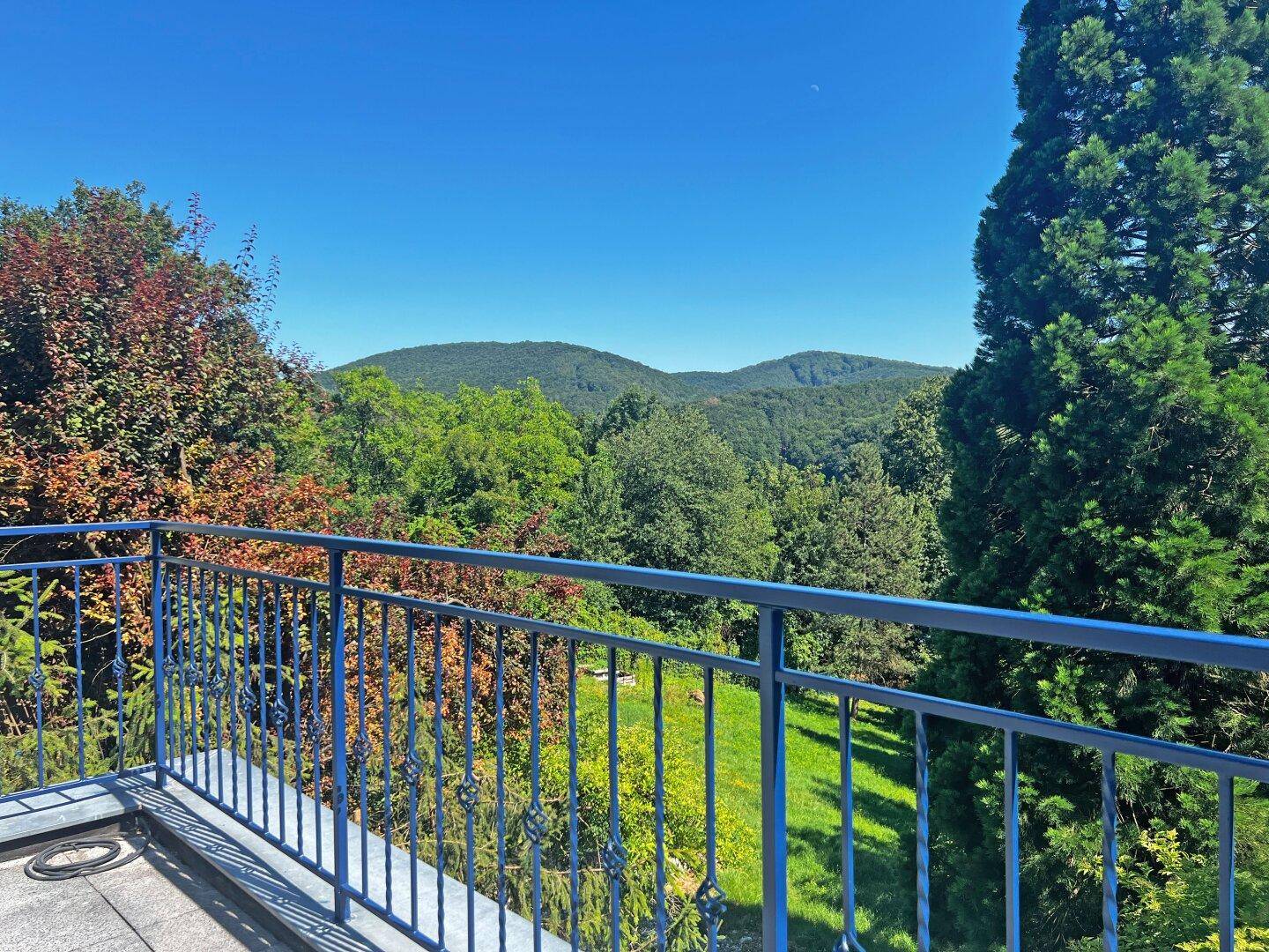 Terrasse_Ausblick