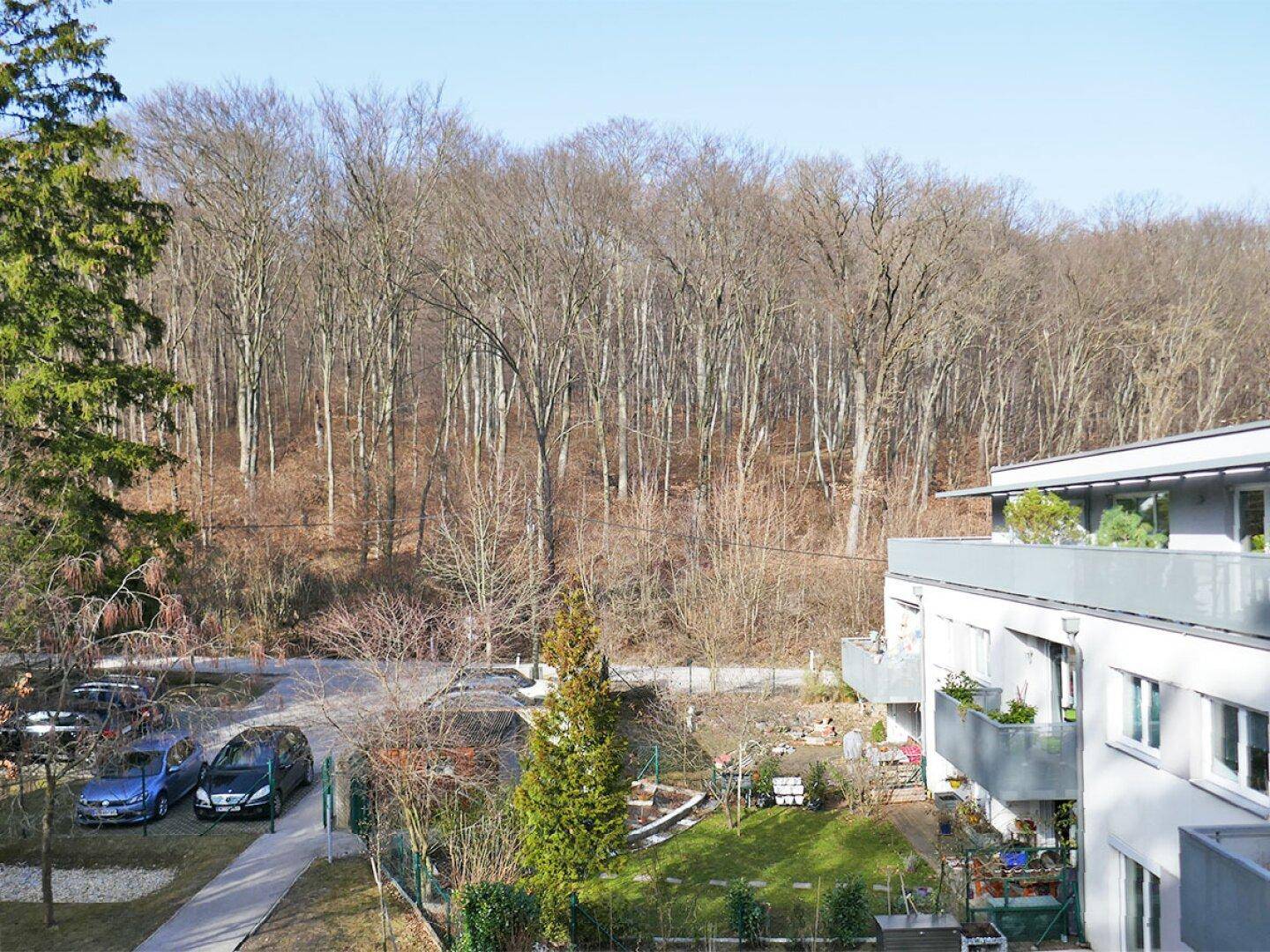 Weitläufiger Blick auf bewaldete Hügel und die umliegende Wohnbebauung in der Ferne.