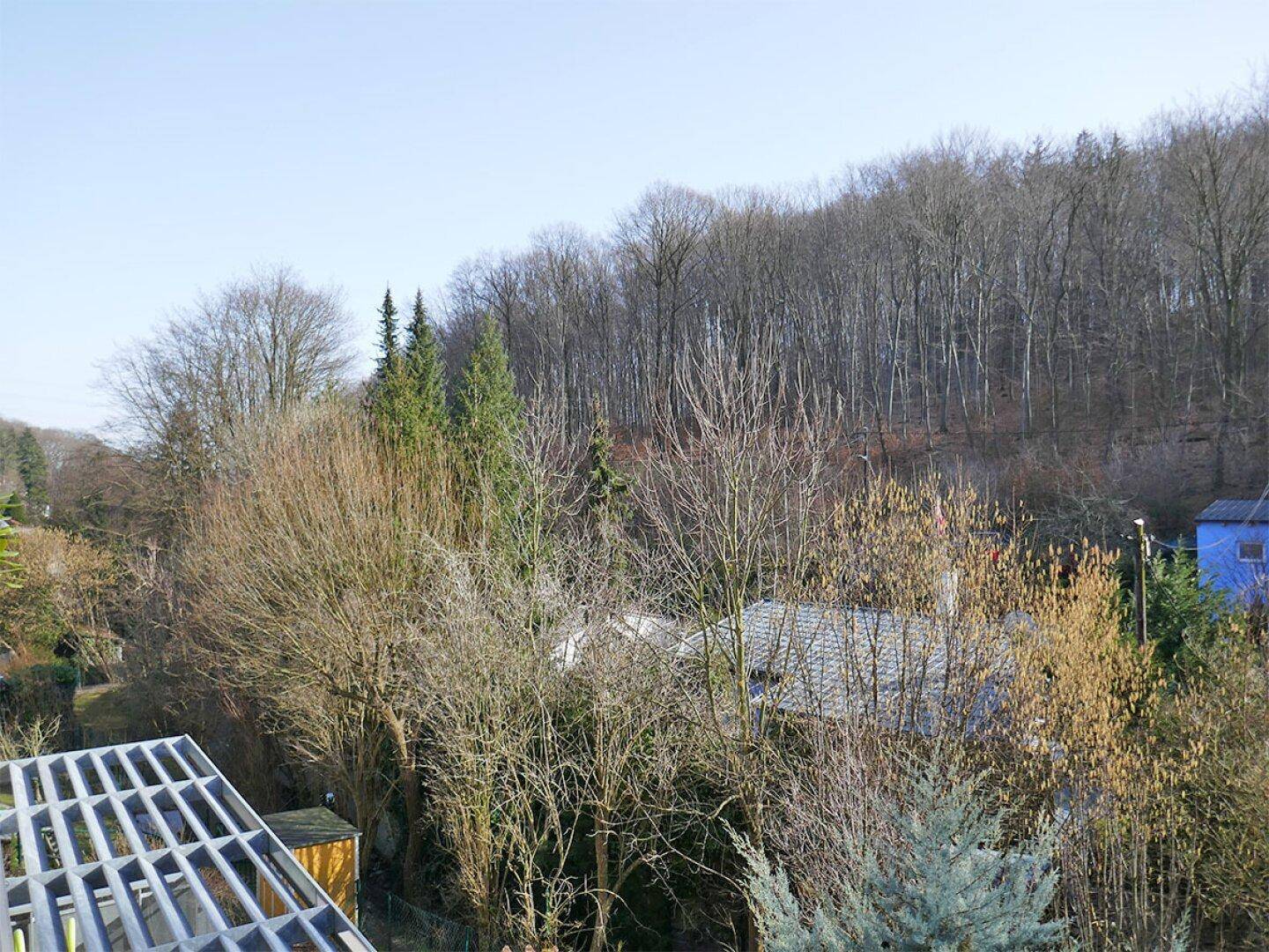 Panoramablick auf bewaldete Hänge und die Dächer der umliegenden Häuser in der Natur.
