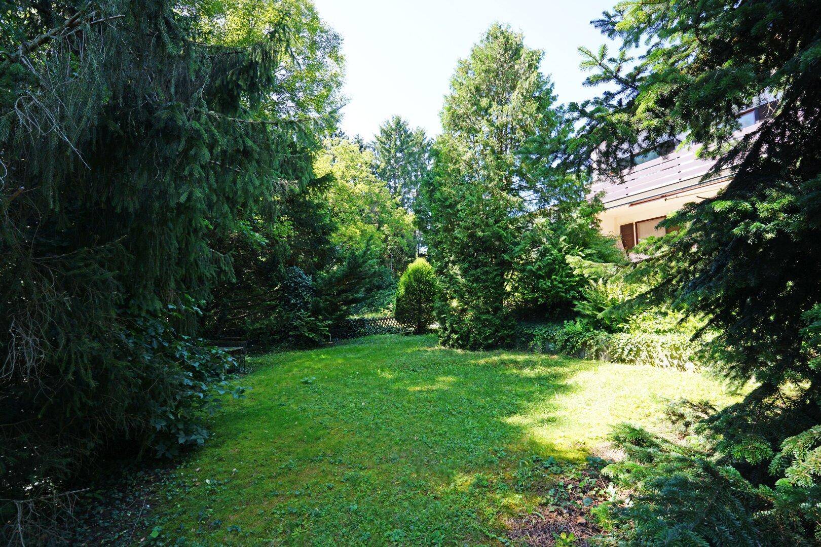 Garten mit Altbaum- und Strauchbestand