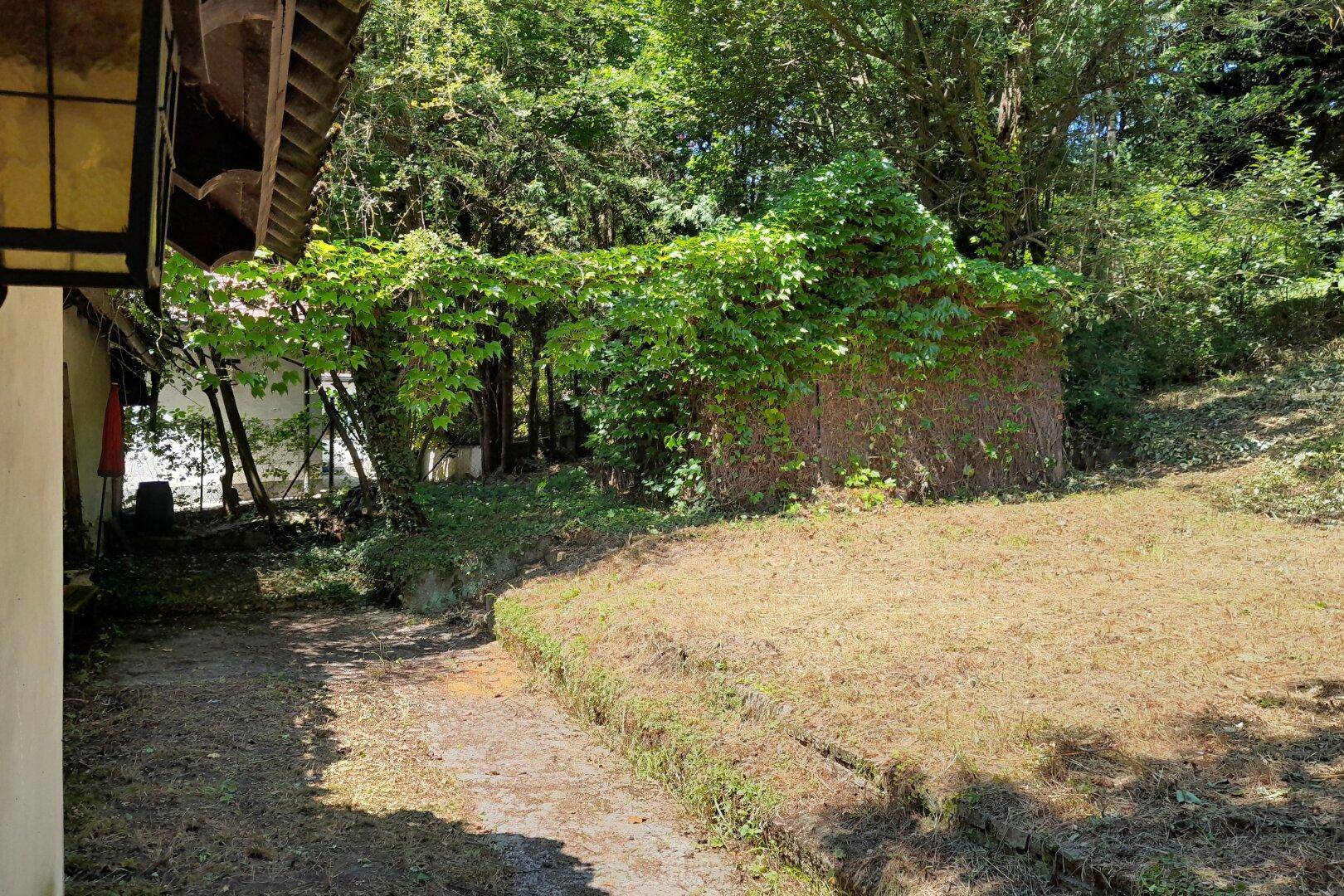 Verwilderter Gartenbereich mit dichtem Bewuchs und trockenem Gras, angrenzend an das Gebäude.