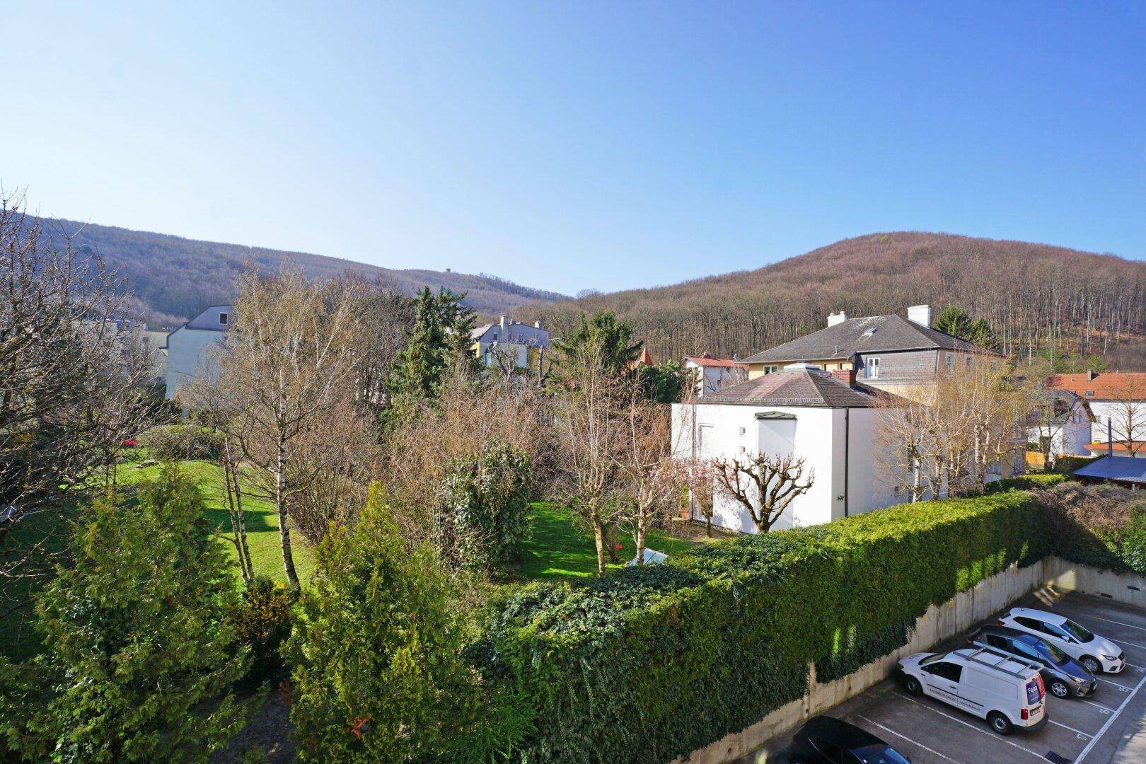 Blick in den Wienerwald