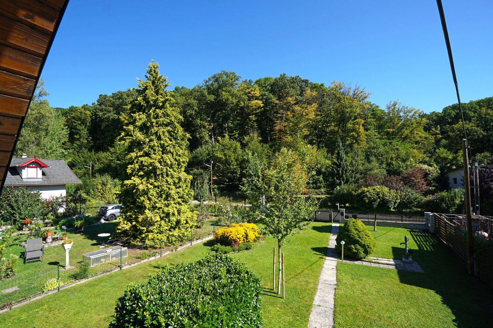 Ausblick
