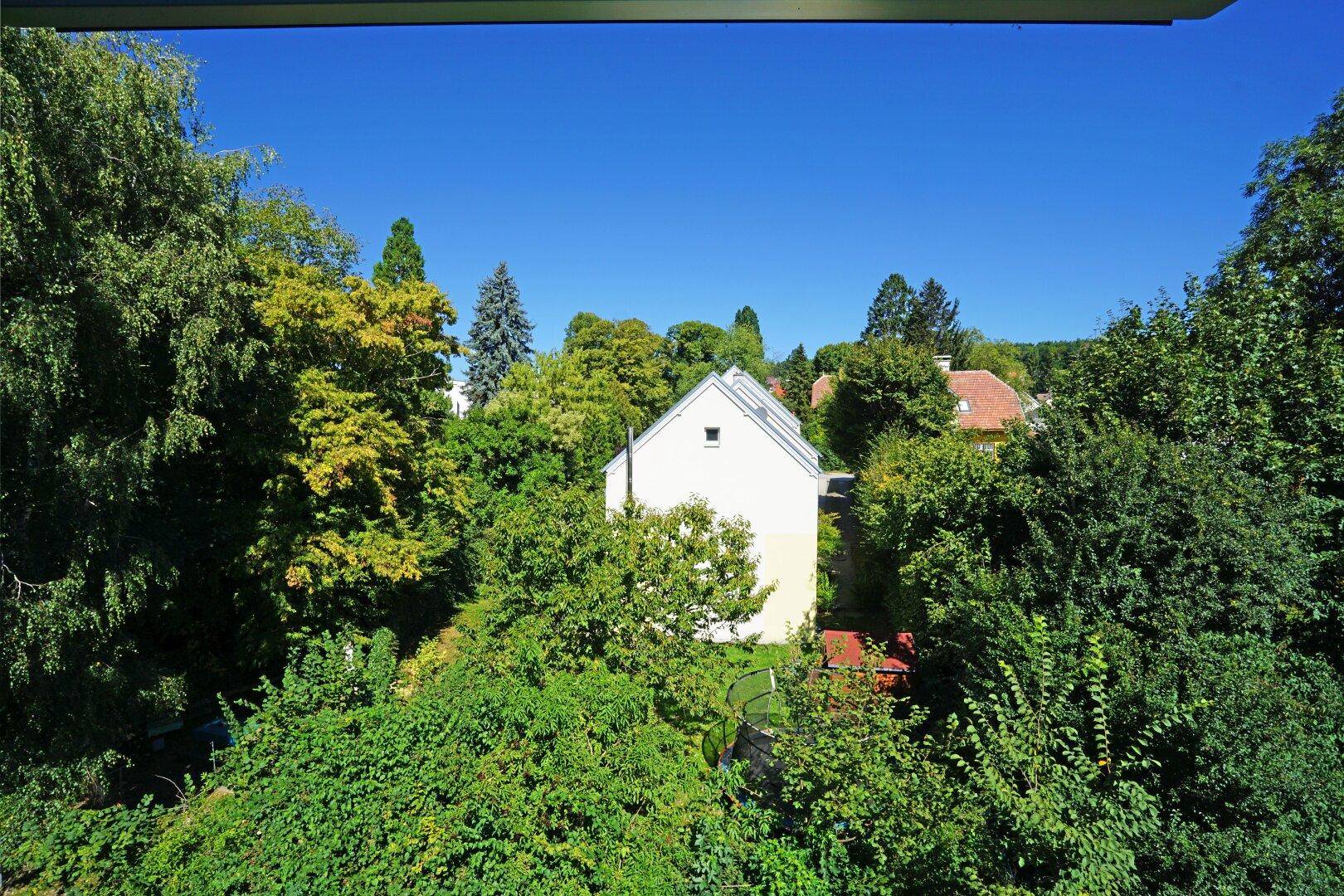 Malerischer Blick ins Grüne mit üppiger Vegetation und einem Haus im Hintergrund.
