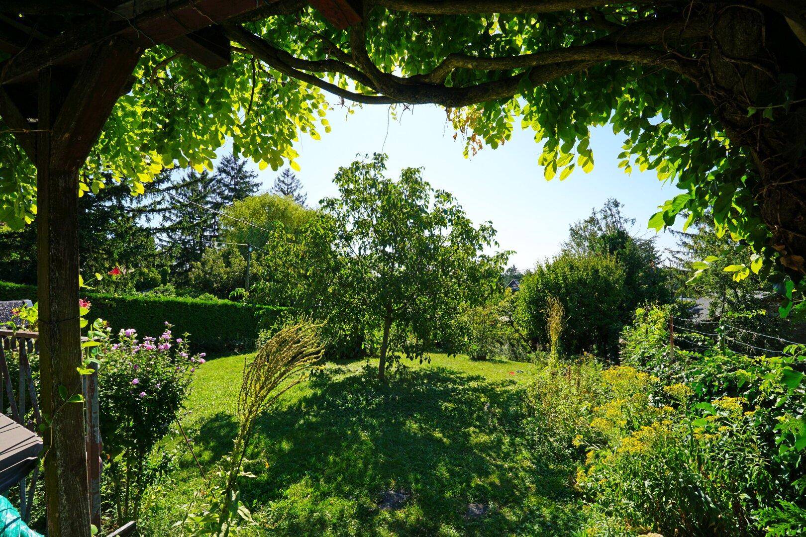 Weitläufiger Garten mit Rasen, Bäumen und Sträuchern, gesehen durch eine grüne Pergola.