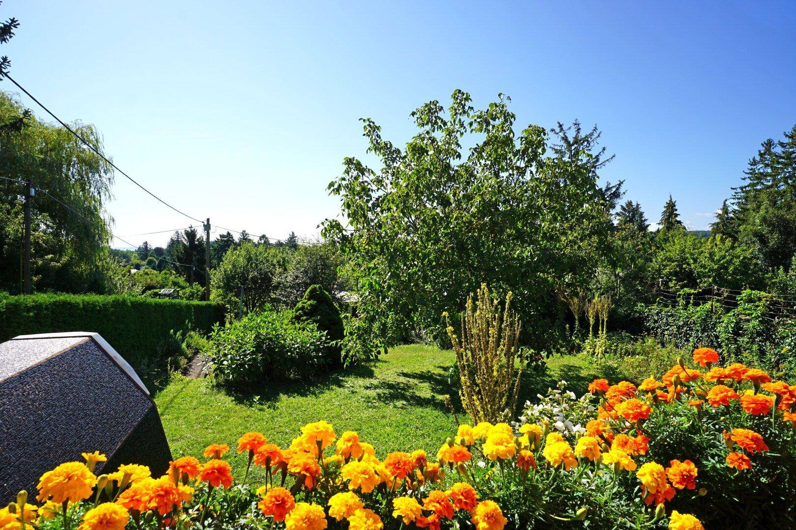 Farbenfroher Garten mit leuchtend orangefarbenen Blumenbeeten und grüner Rasenfläche.