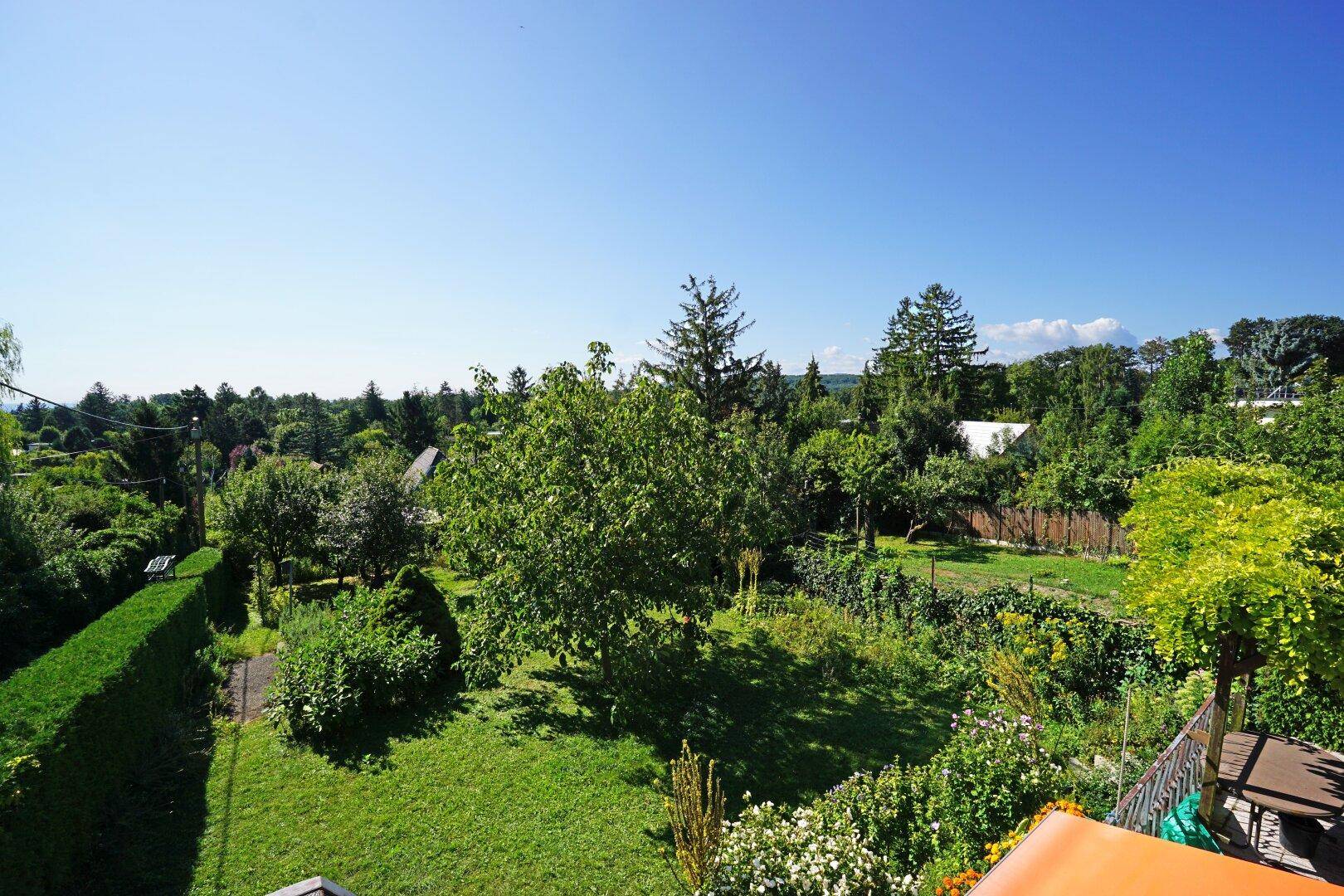 Panoramablick auf einen weitläufigen, gepflegten Garten mit Rasenflächen und Obstbäumen.